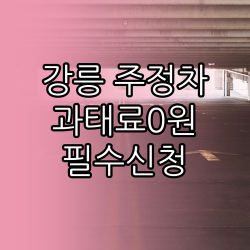 강릉 주정차 단속 사전 알림 신청과 ..