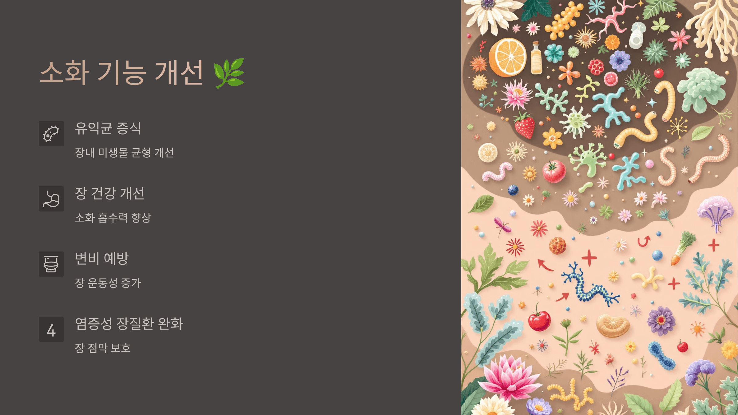 폴리페놀과 관련된 사진입니다.