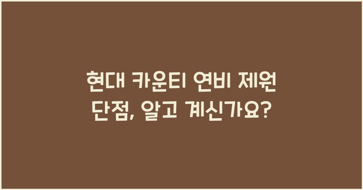 현대 카운티 연비 제원 단점