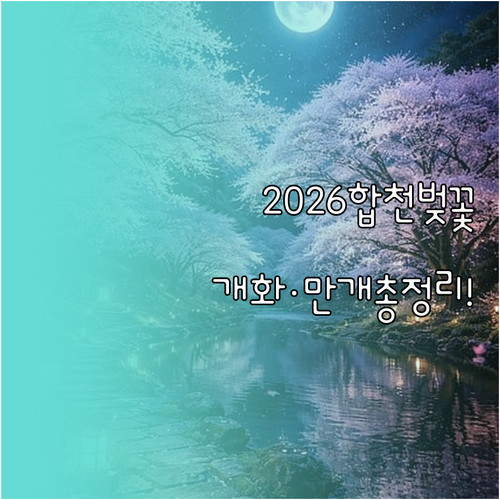 합천 벚꽃 명소 추천 2026년 개화..