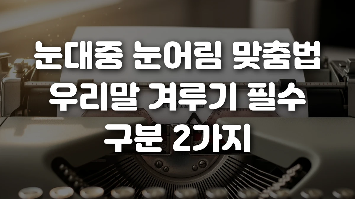 눈대중 눈어림 맞춤법 우리말 겨루기 필수 구분 2가지