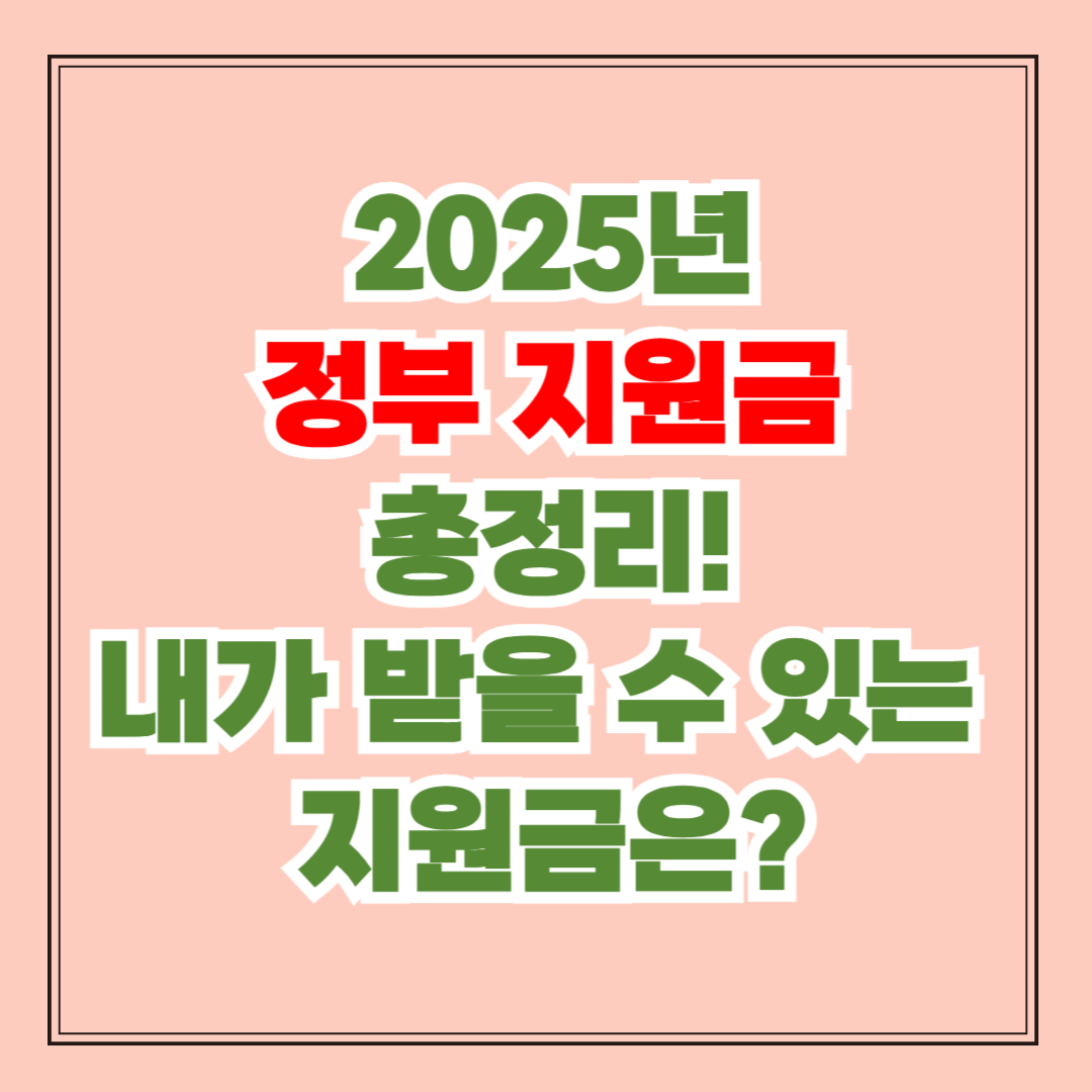 2025 정부 지원금 총정리