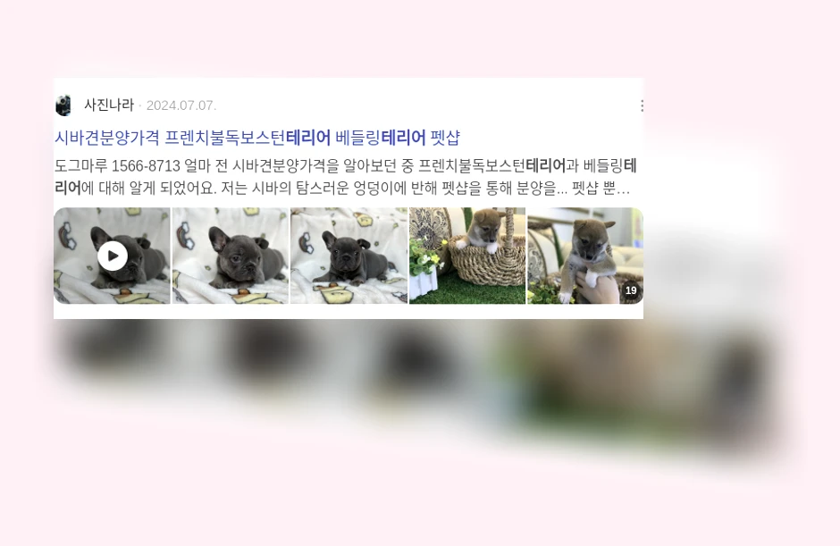 펫테리어_2_subsection