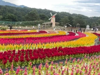 철원 가볼만한곳 베스트10 명소 소개_22