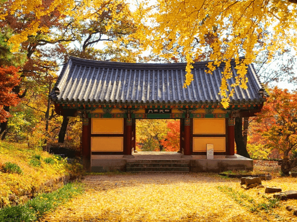 갑사