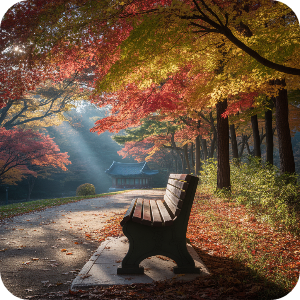 서울&middot;수도권 당일치기 단풍 여행 명소 이미지