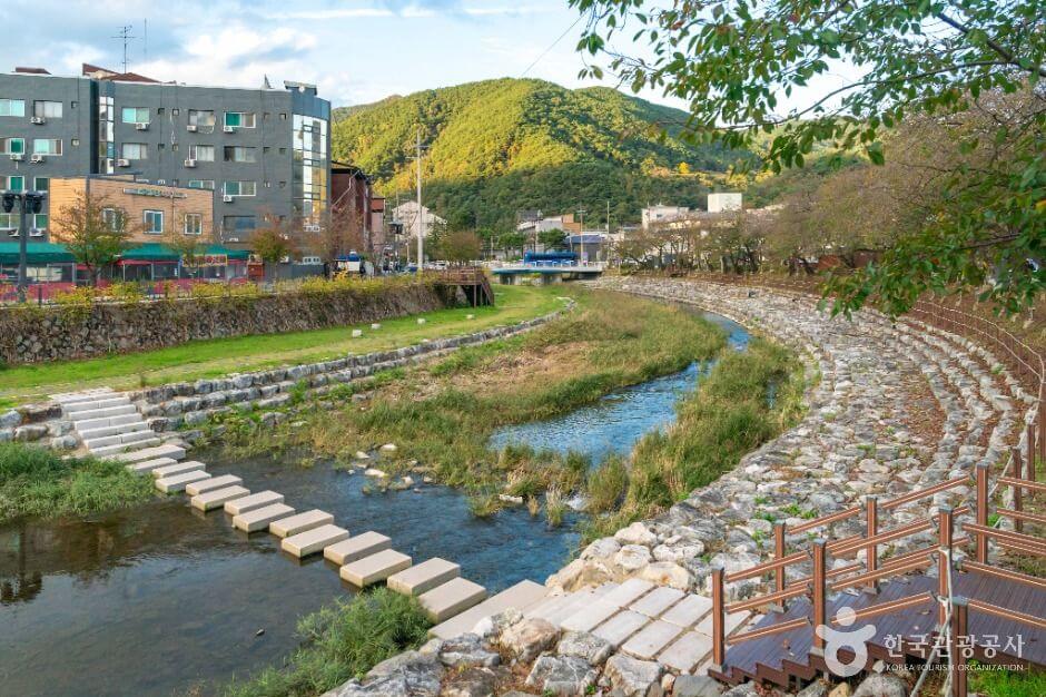 충주 가볼만한곳 베스트 10