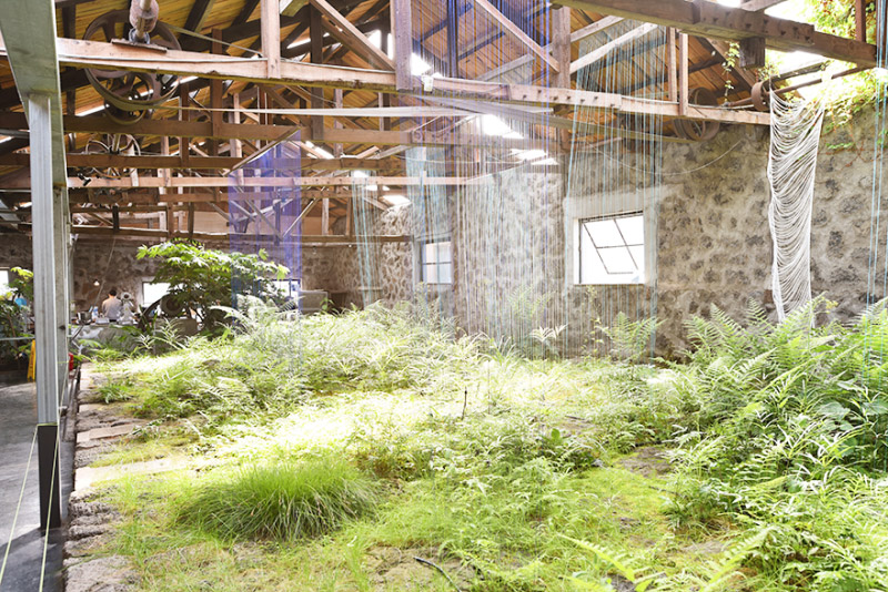 제주 협재 카페 '앤트러사이트'