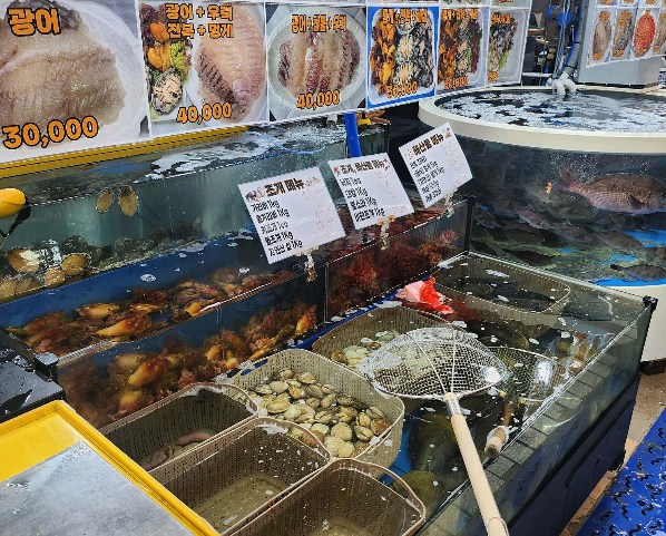 강릉 중앙시장