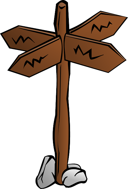 관심분야 찾는 방법