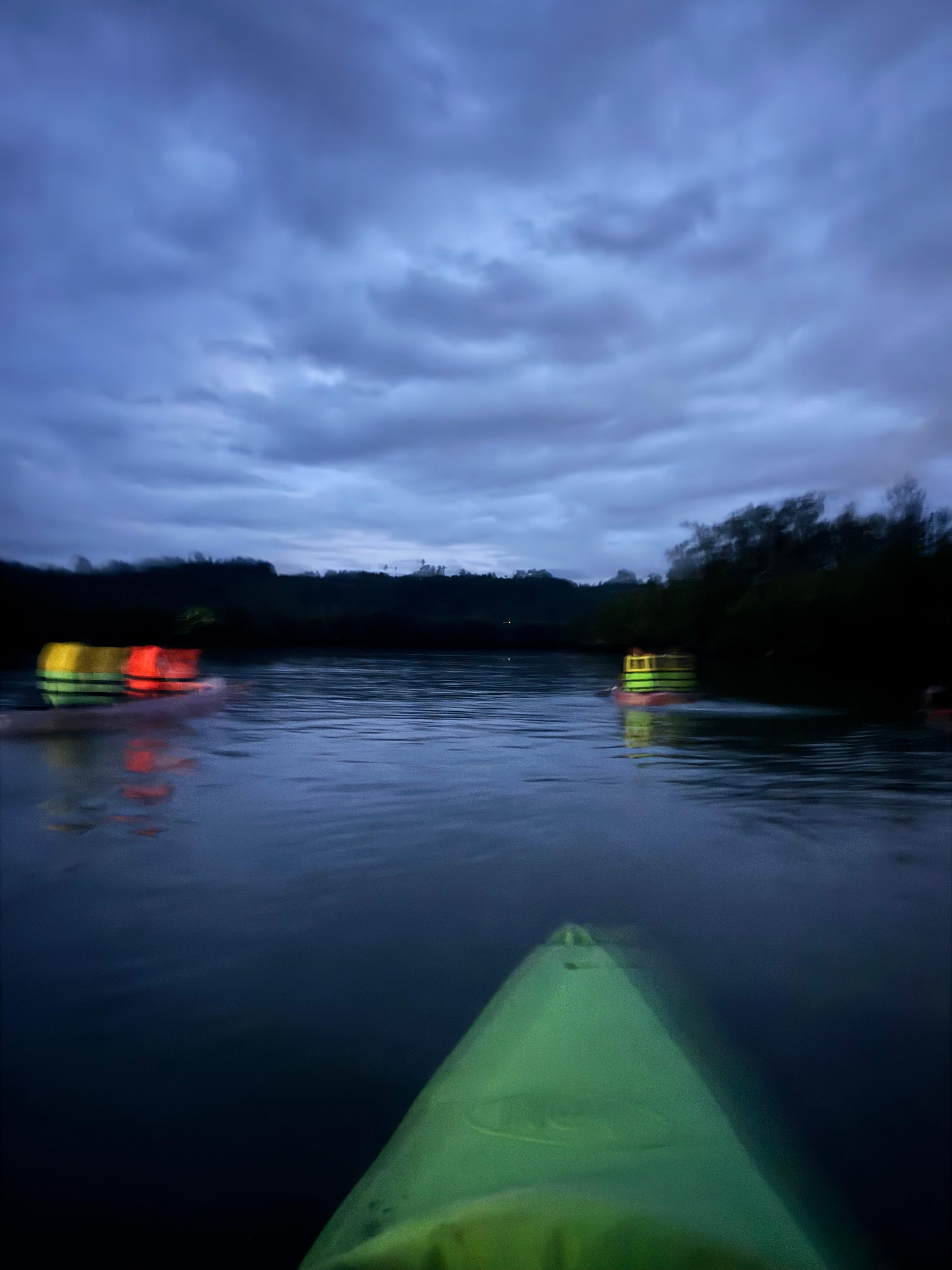 보홀 반딧불 카약 반딧불 투어
