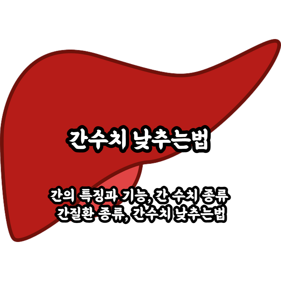 간수치 낮추는법 간의 기능 간수치 종류 간질환의 종류 간수치 낮추는법 정리