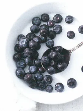 치매예방 블루베리