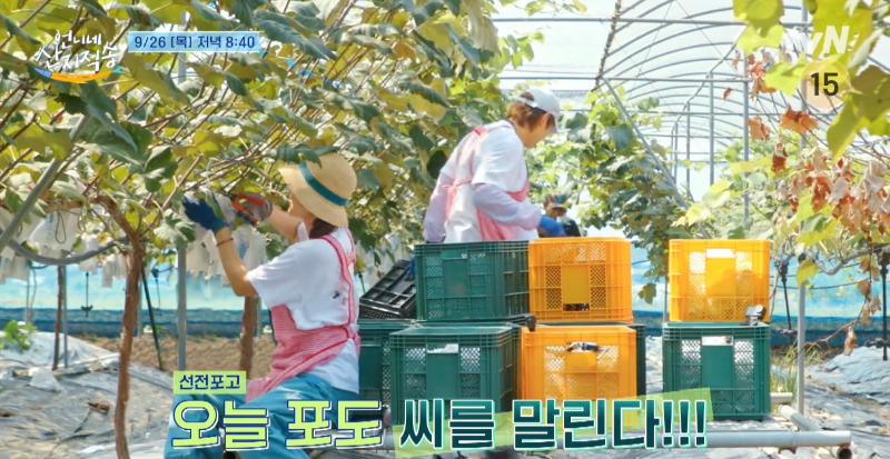 tvN 예능 언니네 산지직송 11화 염정아 스타일링 모자 제품 정보. 베이지색 모자에 청록색 띠가 포인트인 라피아 햇.