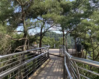 소금산 출렁다리_12