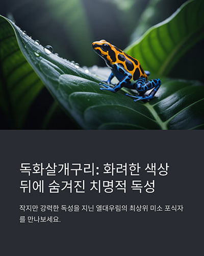 아마존 밀림 속 치명적인 색의 포식자