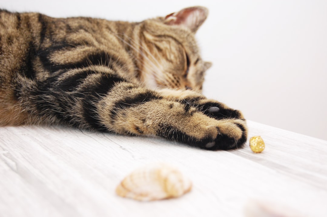 Sleep.