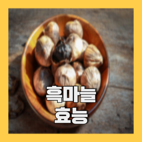 흑마늘 효능