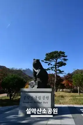 설악산-케이블카-요금-가격-탑승-안내