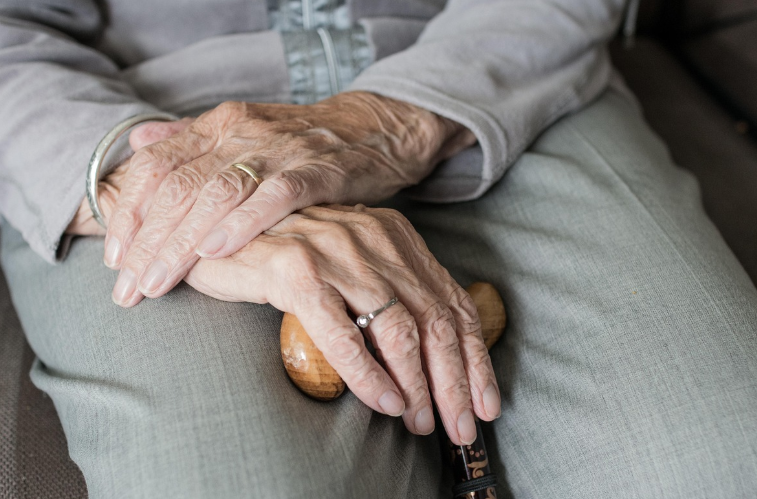 2026년 기준 고령자 복지 혜택 리스트