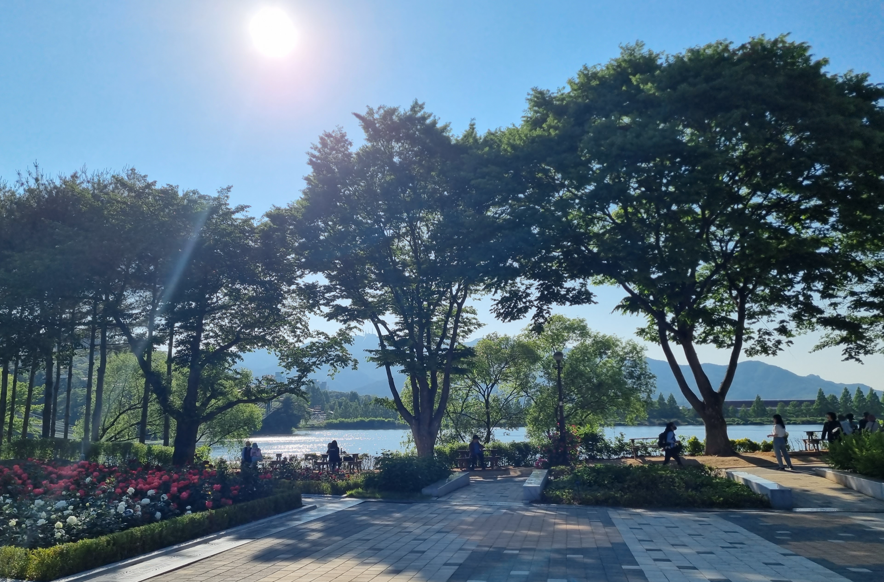 서울대공원 장미원 호수