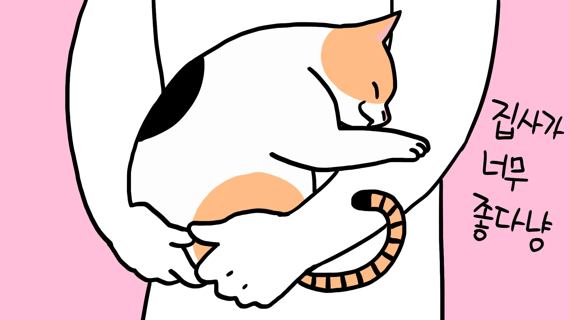 고양이가 집사를 사랑할때 하는 행동_5