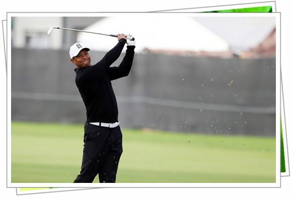 타이거 우즈 아이언 샷