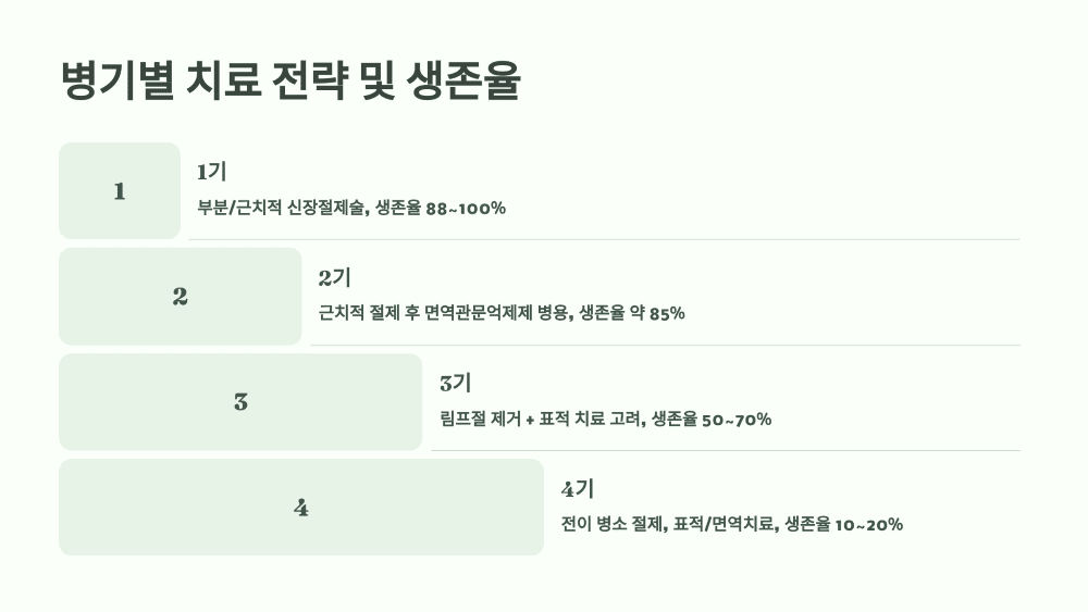 3. 병기별 치료 전략 및 생존율