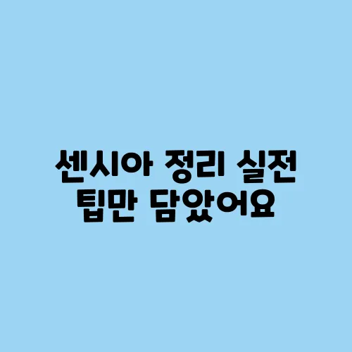 센시아 정리 실전 팁만 담았어요