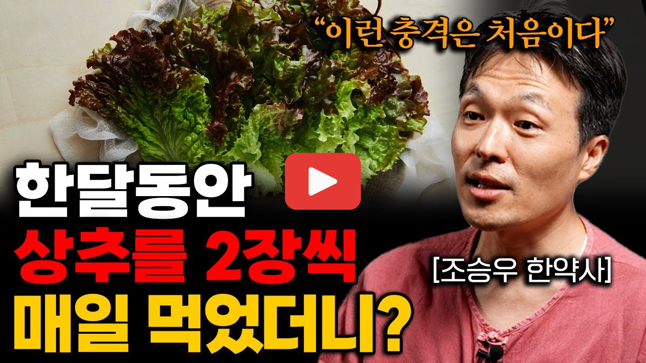 상추의 효능 부작용 칼로리 다이어트할 때 꼭 알아야 할 상극 음식