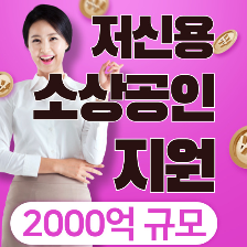 소상공인 정책자금