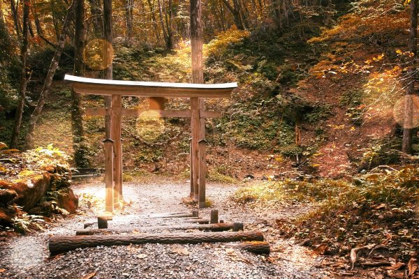 단풍이 들어가는 일본의 산 풍경