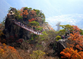 완주 대둔산 축제