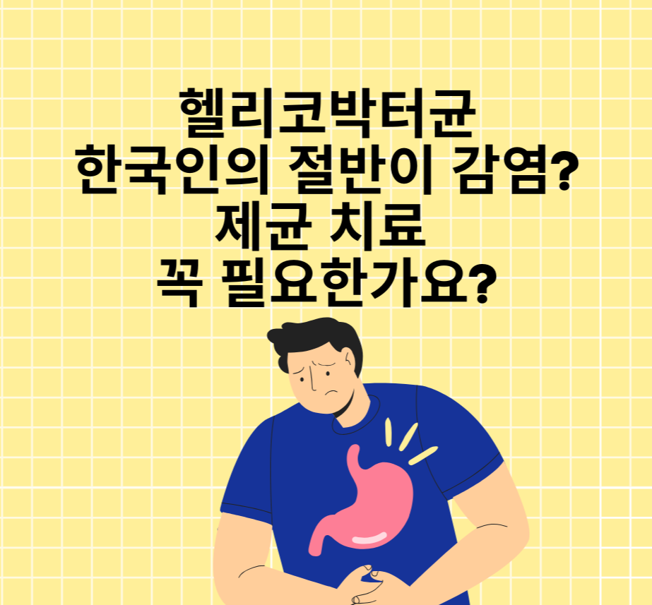헬리코박터균: 한국인의 절반이 감염? 제균 치료, 꼭 필요한가요?