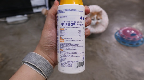 고양이약용샴푸