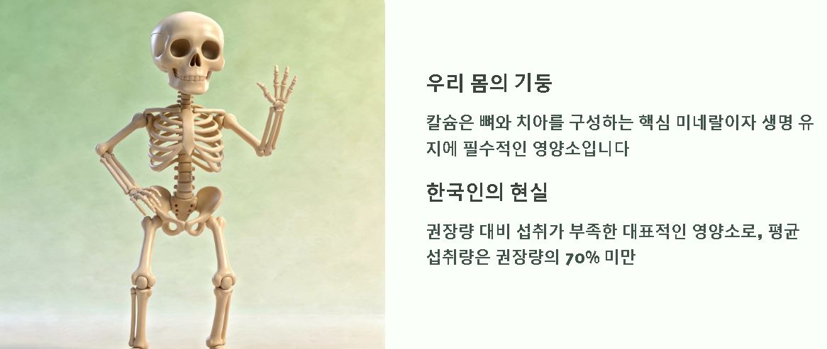 칼슘 하루 권장량