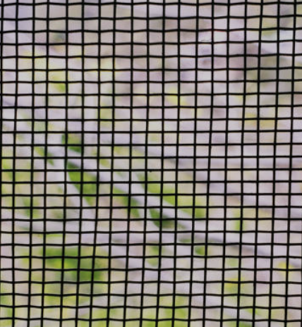 방충망 교체비용&amp;#44; 방충망 셀프교체&amp;#44; 아파트 방충망 교체비용&amp;#44; 방충망 교체방법&amp;#44; 방충망 설치&amp;#44; 방충망 가격&amp;#44; 미세 방충망 가격&amp;#44; 현관 방충망 설치 가격&amp;#44; 베란다 방충망 교체비용&amp;#44; 롤 방충망 가격&amp;#44; 롤 방충망 교체&amp;#44; 방충망 문&amp;#44; 창문 방충망 교체&amp;#44; 창문 방충망 비용&amp;#44; 창문 방충망 설치팁&amp;#44; 방충망 교체비용&amp;#44; 방충망 셀프교체&amp;#44; 아파트 방충망 교체비용&amp;#44; 방충망 교체방법&amp;#44; 방충망 설치&amp;#44; 방충망 가격&amp;#44; 미세 방충망 가격&amp;#44; 현관 방충망 설치 가격&amp;#44; 베란다 방충망 교체비용&amp;#44; 롤 방충망 가격&amp;#44; 롤 방충망 교체&amp;#44; 방충망 문&amp;#44; 창문 방충망 교체&amp;#44; 창문 방충망 비용&amp;#44; 창문 방충망 설치팁&amp;#44; 방충망 교체비용&amp;#44; 방충망 셀프교체&amp;#44; 아파트 방충망 교체비용&amp;#44; 방충망 교체방법&amp;#44; 방충망 설치&amp;#44; 방충망 가격&amp;#44; 미세 방충망 가격&amp;#44; 현관 방충망 설치 가격&amp;#44; 베란다 방충망 교체비용&amp;#44; 롤 방충망 가격&amp;#44; 롤 방충망 교체&amp;#44; 방충망 문&amp;#44; 창문 방충망 교체&amp;#44; 창문 방충망 비용&amp;#44; 창문 방충망 설치팁&amp;#44; 방충망 교체비용&amp;#44; 방충망 셀프교체&amp;#44; 아파트 방충망 교체비용&amp;#44; 방충망 교체방법&amp;#44; 방충망 설치&amp;#44; 방충망 가격&amp;#44; 미세 방충망 가격&amp;#44; 현관 방충망 설치 가격&amp;#44; 베란다 방충망 교체비용&amp;#44; 롤 방충망 가격&amp;#44; 롤 방충망 교체&amp;#44; 방충망 문&amp;#44; 창문 방충망 교체&amp;#44; 창문 방충망 비용&amp;#44; 창문 방충망 설치팁&amp;#44; 방충망 교체비용&amp;#44; 방충망 셀프교체&amp;#44; 아파트 방충망 교체비용&amp;#44; 방충망 교체방법&amp;#44; 방충망 설치&amp;#44; 방충망 가격&amp;#44; 미세 방충망 가격&amp;#44; 현관 방충망 설치 가격&amp;#44; 베란다 방충망 교체비용&amp;#44; 롤 방충망 가격&amp;#44; 롤 방충망 교체&amp;#44; 방충망 문&amp;#44; 창문 방충망 교체&amp;#44; 창문 방충망 비용&amp;#44; 창문 방충망 설치팁&amp;#44; 방충망 교체비용&amp;#44; 방충망 셀프교체&amp;#44; 아파트 방충망 교체비용&amp;#44; 방충망 교체방법&amp;#44; 방충망 설치&amp;#44; 방충망 가격&amp;#44; 미세 방충망 가격&amp;#44; 현관 방충망 설치 가격&amp;#44; 베란다 방충망 교체비용&amp;#44; 롤 방충망 가격&amp;#44; 롤 방충망 교체&amp;#44; 방충망 문&amp;#44; 창문 방충망 교체&amp;#44; 창문 방충망 비용&amp;#44; 창문 방충망 설치팁&amp;#44; 방충망 교체비용&amp;#44; 방충망 셀프교체&amp;#44; 아파트 방충망 교체비용&amp;#44; 방충망 교체방법&amp;#44; 방충망 설치&amp;#44; 방충망 가격&amp;#44; 미세 방충망 가격&amp;#44; 현관 방충망 설치 가격&amp;#44; 베란다 방충망 교체비용&amp;#44; 롤 방충망 가격&amp;#44; 롤 방충망 교체&amp;#44; 방충망 문&amp;#44; 창문 방충망 교체&amp;#44; 창문 방충망 비용&amp;#44; 창문 방충망 설치팁&amp;#44; 방충망 교체비용&amp;#44; 방충망 셀프교체&amp;#44; 아파트 방충망 교체비용&amp;#44; 방충망 교체방법&amp;#44; 방충망 설치&amp;#44; 방충망 가격&amp;#44; 미세 방충망 가격&amp;#44; 현관 방충망 설치 가격&amp;#44; 베란다 방충망 교체비용&amp;#44; 롤 방충망 가격&amp;#44; 롤 방충망 교체&amp;#44; 방충망 문&amp;#44; 창문 방충망 교체&amp;#44; 창문 방충망 비용&amp;#44; 창문 방충망 설치팁&amp;#44; 방충망 교체비용&amp;#44; 방충망 셀프교체&amp;#44; 아파트 방충망 교체비용&amp;#44; 방충망 교체방법&amp;#44; 방충망 설치&amp;#44; 방충망 가격&amp;#44; 미세 방충망 가격&amp;#44; 현관 방충망 설치 가격&amp;#44; 베란다 방충망 교체비용&amp;#44; 롤 방충망 가격&amp;#44; 롤 방충망 교체&amp;#44; 방충망 문&amp;#44; 창문 방충망 교체&amp;#44; 창문 방충망 비용&amp;#44; 창문 방충망 설치팁&amp;#44; 방충망 교체비용&amp;#44; 방충망 셀프교체&amp;#44; 아파트 방충망 교체비용&amp;#44; 방충망 교체방법&amp;#44; 방충망 설치&amp;#44; 방충망 가격&amp;#44; 미세 방충망 가격&amp;#44; 현관 방충망 설치 가격&amp;#44; 베란다 방충망 교체비용&amp;#44; 롤 방충망 가격&amp;#44; 롤 방충망 교체&amp;#44; 방충망 문&amp;#44; 창문 방충망 교체&amp;#44; 창문 방충망 비용&amp;#44; 창문 방충망 설치팁&amp;#44; 방충망 교체비용&amp;#44; 방충망 셀프교체&amp;#44; 아파트 방충망 교체비용&amp;#44; 방충망 교체방법&amp;#44; 방충망 설치&amp;#44; 방충망 가격&amp;#44; 미세 방충망 가격&amp;#44; 현관 방충망 설치 가격&amp;#44; 베란다 방충망 교체비용&amp;#44; 롤 방충망 가격&amp;#44; 롤 방충망 교체&amp;#44; 방충망 문&amp;#44; 창문 방충망 교체&amp;#44; 창문 방충망 비용&amp;#44; 창문 방충망 설치팁&amp;#44; 방충망 교체비용&amp;#44; 방충망 셀프교체&amp;#44; 아파트 방충망 교체비용&amp;#44; 방충망 교체방법&amp;#44; 방충망 설치&amp;#44; 방충망 가격&amp;#44; 미세 방충망 가격&amp;#44; 현관 방충망 설치 가격&amp;#44; 베란다 방충망 교체비용&amp;#44; 롤 방충망 가격&amp;#44; 롤 방충망 교체&amp;#44; 방충망 문&amp;#44; 창문 방충망 교체&amp;#44; 창문 방충망 비용&amp;#44; 창문 방충망 설치팁&amp;#44; 방충망 교체비용&amp;#44; 방충망 셀프교체&amp;#44; 아파트 방충망 교체비용&amp;#44; 방충망 교체방법&amp;#44; 방충망 설치&amp;#44; 방충망 가격&amp;#44; 미세 방충망 가격&amp;#44; 현관 방충망 설치 가격&amp;#44; 베란다 방충망 교체비용&amp;#44; 롤 방충망 가격&amp;#44; 롤 방충망 교체&amp;#44; 방충망 문&amp;#44; 창문 방충망 교체&amp;#44; 창문 방충망 비용&amp;#44; 창문 방충망 설치팁&amp;#44; 방충망 교체비용&amp;#44; 방충망 셀프교체&amp;#44; 아파트 방충망 교체비용&amp;#44; 방충망 교체방법&amp;#44; 방충망 설치&amp;#44; 방충망 가격&amp;#44; 미세 방충망 가격&amp;#44; 현관 방충망 설치 가격&amp;#44; 베란다 방충망 교체비용&amp;#44; 롤 방충망 가격&amp;#44; 롤 방충망 교체&amp;#44; 방충망 문&amp;#44; 창문 방충망 교체&amp;#44; 창문 방충망 비용&amp;#44; 창문 방충망 설치팁&amp;#44; 방충망 교체비용&amp;#44; 방충망 셀프교체&amp;#44; 아파트 방충망 교체비용&amp;#44; 방충망 교체방법&amp;#44; 방충망 설치&amp;#44; 방충망 가격&amp;#44; 미세 방충망 가격&amp;#44; 현관 방충망 설치 가격&amp;#44; 베란다 방충망 교체비용&amp;#44; 롤 방충망 가격&amp;#44; 롤 방충망 교체&amp;#44; 방충망 문&amp;#44; 창문 방충망 교체&amp;#44; 창문 방충망 비용&amp;#44; 창문 방충망 설치팁&amp;#44; 방충망 교체비용&amp;#44; 방충망 셀프교체&amp;#44; 아파트 방충망 교체비용&amp;#44; 방충망 교체방법&amp;#44; 방충망 설치&amp;#44; 방충망 가격&amp;#44; 미세 방충망 가격&amp;#44; 현관 방충망 설치 가격&amp;#44; 베란다 방충망 교체비용&amp;#44; 롤 방충망 가격&amp;#44; 롤 방충망 교체&amp;#44; 방충망 문&amp;#44; 창문 방충망 교체&amp;#44; 창문 방충망 비용&amp;#44; 창문 방충망 설치팁&amp;#44; 방충망 교체비용&amp;#44; 방충망 셀프교체&amp;#44; 아파트 방충망 교체비용&amp;#44; 방충망 교체방법&amp;#44; 방충망 설치&amp;#44; 방충망 가격&amp;#44; 미세 방충망 가격&amp;#44; 현관 방충망 설치 가격&amp;#44; 베란다 방충망 교체비용&amp;#44; 롤 방충망 가격&amp;#44; 롤 방충망 교체&amp;#44; 방충망 문&amp;#44; 창문 방충망 교체&amp;#44; 창문 방충망 비용&amp;#44; 창문 방충망 설치팁&amp;#44; 방충망 교체비용&amp;#44; 방충망 셀프교체&amp;#44; 아파트 방충망 교체비용&amp;#44; 방충망 교체방법&amp;#44; 방충망 설치&amp;#44; 방충망 가격&amp;#44; 미세 방충망 가격&amp;#44; 현관 방충망 설치 가격&amp;#44; 베란다 방충망 교체비용&amp;#44; 롤 방충망 가격&amp;#44; 롤 방충망 교체&amp;#44; 방충망 문&amp;#44; 창문 방충망 교체&amp;#44; 창문 방충망 비용&amp;#44; 창문 방충망 설치팁&amp;#44; 방충망 교체비용&amp;#44; 방충망 셀프교체&amp;#44; 아파트 방충망 교체비용&amp;#44; 방충망 교체방법&amp;#44; 방충망 설치&amp;#44; 방충망 가격&amp;#44; 미세 방충망 가격&amp;#44; 현관 방충망 설치 가격&amp;#44; 베란다 방충망 교체비용&amp;#44; 롤 방충망 가격&amp;#44; 롤 방충망 교체&amp;#44; 방충망 문&amp;#44; 창문 방충망 교체&amp;#44; 창문 방충망 비용&amp;#44; 창문 방충망 설치팁&amp;#44; 방충망 교체비용&amp;#44; 방충망 셀프교체&amp;#44; 아파트 방충망 교체비용&amp;#44; 방충망 교체방법&amp;#44; 방충망 설치&amp;#44; 방충망 가격&amp;#44; 미세 방충망 가격&amp;#44; 현관 방충망 설치 가격&amp;#44; 베란다 방충망 교체비용&amp;#44; 롤 방충망 가격&amp;#44; 롤 방충망 교체&amp;#44; 방충망 문&amp;#44; 창문 방충망 교체&amp;#44; 창문 방충망 비용&amp;#44; 창문 방충망 설치팁&amp;#44; 방충망 교체비용&amp;#44; 방충망 셀프교체&amp;#44; 아파트 방충망 교체비용&amp;#44; 방충망 교체방법&amp;#44; 방충망 설치&amp;#44; 방충망 가격&amp;#44; 미세 방충망 가격&amp;#44; 현관 방충망 설치 가격&amp;#44; 베란다 방충망 교체비용&amp;#44; 롤 방충망 가격&amp;#44; 롤 방충망 교체&amp;#44; 방충망 문&amp;#44; 창문 방충망 교체&amp;#44; 창문 방충망 비용&amp;#44; 창문 방충망 설치팁&amp;#44; 방충망 교체비용&amp;#44; 방충망 셀프교체&amp;#44; 아파트 방충망 교체비용&amp;#44; 방충망 교체방법&amp;#44; 방충망 설치&amp;#44; 방충망 가격&amp;#44; 미세 방충망 가격&amp;#44; 현관 방충망 설치 가격&amp;#44; 베란다 방충망 교체비용&amp;#44; 롤 방충망 가격&amp;#44; 롤 방충망 교체&amp;#44; 방충망 문&amp;#44; 창문 방충망 교체&amp;#44; 창문 방충망 비용&amp;#44; 창문 방충망 설치팁&amp;#44; 방충망 교체비용&amp;#44; 방충망 셀프교체&amp;#44; 아파트 방충망 교체비용&amp;#44; 방충망 교체방법&amp;#44; 방충망 설치&amp;#44; 방충망 가격&amp;#44; 미세 방충망 가격&amp;#44; 현관 방충망 설치 가격&amp;#44; 베란다 방충망 교체비용&amp;#44; 롤 방충망 가격&amp;#44; 롤 방충망 교체&amp;#44; 방충망 문&amp;#44; 창문 방충망 교체&amp;#44; 창문 방충망 비용&amp;#44; 창문 방충망 설치팁&amp;#44; 방충망 교체비용&amp;#44; 방충망 셀프교체&amp;#44; 아파트 방충망 교체비용&amp;#44; 방충망 교체방법&amp;#44; 방충망 설치&amp;#44; 방충망 가격&amp;#44; 미세 방충망 가격&amp;#44; 현관 방충망 설치 가격&amp;#44; 베란다 방충망 교체비용&amp;#44; 롤 방충망 가격&amp;#44; 롤 방충망 교체&amp;#44; 방충망 문&amp;#44; 창문 방충망 교체&amp;#44; 창문 방충망 비용&amp;#44; 창문 방충망 설치팁&amp;#44; 방충망 교체비용&amp;#44; 방충망 셀프교체&amp;#44; 아파트 방충망 교체비용&amp;#44; 방충망 교체방법&amp;#44; 방충망 설치&amp;#44; 방충망 가격&amp;#44; 미세 방충망 가격&amp;#44; 현관 방충망 설치 가격&amp;#44; 베란다 방충망 교체비용&amp;#44; 롤 방충망 가격&amp;#44; 롤 방충망 교체&amp;#44; 방충망 문&amp;#44; 창문 방충망 교체&amp;#44; 창문 방충망 비용&amp;#44; 창문 방충망 설치팁&amp;#44; 방충망 교체비용&amp;#44; 방충망 셀프교체&amp;#44; 아파트 방충망 교체비용&amp;#44; 방충망 교체방법&amp;#44; 방충망 설치&amp;#44; 방충망 가격&amp;#44; 미세 방충망 가격&amp;#44; 현관 방충망 설치 가격&amp;#44; 베란다 방충망 교체비용&amp;#44; 롤 방충망 가격&amp;#44; 롤 방충망 교체&amp;#44; 방충망 문&amp;#44; 창문 방충망 교체&amp;#44; 창문 방충망 비용&amp;#44; 창문 방충망 설치팁&amp;#44; 방충망 교체비용&amp;#44; 방충망 셀프교체&amp;#44; 아파트 방충망 교체비용&amp;#44; 방충망 교체방법&amp;#44; 방충망 설치&amp;#44; 방충망 가격&amp;#44; 미세 방충망 가격&amp;#44; 현관 방충망 설치 가격&amp;#44; 베란다 방충망 교체비용&amp;#44; 롤 방충망 가격&amp;#44; 롤 방충망 교체&amp;#44; 방충망 문&amp;#44; 창문 방충망 교체&amp;#44; 창문 방충망 비용&amp;#44; 창문 방충망 설치팁&amp;#44; 방충망 교체비용&amp;#44; 방충망 셀프교체&amp;#44; 아파트 방충망 교체비용&amp;#44; 방충망 교체방법&amp;#44; 방충망 설치&amp;#44; 방충망 가격&amp;#44; 미세 방충망 가격&amp;#44; 현관 방충망 설치 가격&amp;#44; 베란다 방충망 교체비용&amp;#44; 롤 방충망 가격&amp;#44; 롤 방충망 교체&amp;#44; 방충망 문&amp;#44; 창문 방충망 교체&amp;#44; 창문 방충망 비용&amp;#44; 창문 방충망 설치팁&amp;#44; 방충망 교체비용&amp;#44; 방충망 셀프교체&amp;#44; 아파트 방충망 교체비용&amp;#44; 방충망 교체방법&amp;#44; 방충망 설치&amp;#44; 방충망 가격&amp;#44; 미세 방충망 가격&amp;#44; 현관 방충망 설치 가격&amp;#44; 베란다 방충망 교체비용&amp;#44; 롤 방충망 가격&amp;#44; 롤 방충망 교체&amp;#44; 방충망 문&amp;#44; 창문 방충망 교체&amp;#44; 창문 방충망 비용&amp;#44; 창문 방충망 설치팁&amp;#44; 방충망 교체비용&amp;#44; 방충망 셀프교체&amp;#44; 아파트 방충망 교체비용&amp;#44; 방충망 교체방법&amp;#44; 방충망 설치&amp;#44; 방충망 가격&amp;#44; 미세 방충망 가격&amp;#44; 현관 방충망 설치 가격&amp;#44; 베란다 방충망 교체비용&amp;#44; 롤 방충망 가격&amp;#44; 롤 방충망 교체&amp;#44; 방충망 문&amp;#44; 창문 방충망 교체&amp;#44; 창문 방충망 비용&amp;#44; 창문 방충망 설치팁&amp;#44; 방충망 교체비용&amp;#44; 방충망 셀프교체&amp;#44; 아파트 방충망 교체비용&amp;#44; 방충망 교체방법&amp;#44; 방충망 설치&amp;#44; 방충망 가격&amp;#44; 미세 방충망 가격&amp;#44; 현관 방충망 설치 가격&amp;#44; 베란다 방충망 교체비용&amp;#44; 롤 방충망 가격&amp;#44; 롤 방충망 교체&amp;#44; 방충망 문&amp;#44; 창문 방충망 교체&amp;#44; 창문 방충망 비용&amp;#44; 창문 방충망 설치팁&amp;#44; 방충망 교체비용&amp;#44; 방충망 셀프교체&amp;#44; 아파트 방충망 교체비용&amp;#44; 방충망 교체방법&amp;#44; 방충망 설치&amp;#44; 방충망 가격&amp;#44; 미세 방충망 가격&amp;#44; 현관 방충망 설치 가격&amp;#44; 베란다 방충망 교체비용&amp;#44; 롤 방충망 가격&amp;#44; 롤 방충망 교체&amp;#44; 방충망 문&amp;#44; 창문 방충망 교체&amp;#44; 창문 방충망 비용&amp;#44; 창문 방충망 설치팁&amp;#44; 방충망 교체비용&amp;#44; 방충망 셀프교체&amp;#44; 아파트 방충망 교체비용&amp;#44; 방충망 교체방법&amp;#44; 방충망 설치&amp;#44; 방충망 가격&amp;#44; 미세 방충망 가격&amp;#44; 현관 방충망 설치 가격&amp;#44; 베란다 방충망 교체비용&amp;#44; 롤 방충망 가격&amp;#44; 롤 방충망 교체&amp;#44; 방충망 문&amp;#44; 창문 방충망 교체&amp;#44; 창문 방충망 비용&amp;#44; 창문 방충망 설치팁&amp;#44; 방충망 교체비용&amp;#44; 방충망 셀프교체&amp;#44; 아파트 방충망 교체비용&amp;#44; 방충망 교체방법&amp;#44; 방충망 설치&amp;#44; 방충망 가격&amp;#44; 미세 방충망 가격&amp;#44; 현관 방충망 설치 가격&amp;#44; 베란다 방충망 교체비용&amp;#44; 롤 방충망 가격&amp;#44; 롤 방충망 교체&amp;#44; 방충망 문&amp;#44; 창문 방충망 교체&amp;#44; 창문 방충망 비용&amp;#44; 창문 방충망 설치팁&amp;#44; 방충망 교체비용&amp;#44; 방충망 셀프교체&amp;#44; 아파트 방충망 교체비용&amp;#44; 방충망 교체방법&amp;#44; 방충망 설치&amp;#44; 방충망 가격&amp;#44; 미세 방충망 가격&amp;#44; 현관 방충망 설치 가격&amp;#44; 베란다 방충망 교체비용&amp;#44; 롤 방충망 가격&amp;#44; 롤 방충망 교체&amp;#44; 방충망 문&amp;#44; 창문 방충망 교체&amp;#44; 창문 방충망 비용&amp;#44; 창문 방충망 설치팁&amp;#44; 방충망 교체비용&amp;#44; 방충망 셀프교체&amp;#44; 아파트 방충망 교체비용&amp;#44; 방충망 교체방법&amp;#44; 방충망 설치&amp;#44; 방충망 가격&amp;#44; 미세 방충망 가격&amp;#44; 현관 방충망 설치 가격&amp;#44; 베란다 방충망 교체비용&amp;#44; 롤 방충망 가격&amp;#44; 롤 방충망 교체&amp;#44; 방충망 문&amp;#44; 창문 방충망 교체&amp;#44; 창문 방충망 비용&amp;#44; 창문 방충망 설치팁&amp;#44; 방충망 교체비용&amp;#44; 방충망 셀프교체&amp;#44; 아파트 방충망 교체비용&amp;#44; 방충망 교체방법&amp;#44; 방충망 설치&amp;#44; 방충망 가격&amp;#44; 미세 방충망 가격&amp;#44; 현관 방충망 설치 가격&amp;#44; 베란다 방충망 교체비용&amp;#44; 롤 방충망 가격&amp;#44; 롤 방충망 교체&amp;#44; 방충망 문&amp;#44; 창문 방충망 교체&amp;#44; 창문 방충망 비용&amp;#44; 창문 방충망 설치팁&amp;#44; 방충망 교체비용&amp;#44; 방충망 셀프교체&amp;#44; 아파트 방충망 교체비용&amp;#44; 방충망 교체방법&amp;#44; 방충망 설치&amp;#44; 방충망 가격&amp;#44; 미세 방충망 가격&amp;#44; 현관 방충망 설치 가격&amp;#44; 베란다 방충망 교체비용&amp;#44; 롤 방충망 가격&amp;#44; 롤 방충망 교체&amp;#44; 방충망 문&amp;#44; 창문 방충망 교체&amp;#44; 창문 방충망 비용&amp;#44; 창문 방충망 설치팁&amp;#44; 방충망 교체비용&amp;#44; 방충망 셀프교체&amp;#44; 아파트 방충망 교체비용&amp;#44; 방충망 교체방법&amp;#44; 방충망 설치&amp;#44; 방충망 가격&amp;#44; 미세 방충망 가격&amp;#44; 현관 방충망 설치 가격&amp;#44; 베란다 방충망 교체비용&amp;#44; 롤 방충망 가격&amp;#44; 롤 방충망 교체&amp;#44; 방충망 문&amp;#44; 창문 방충망 교체&amp;#44; 창문 방충망 비용&amp;#44; 창문 방충망 설치팁&amp;#44; 방충망 교체비용&amp;#44; 방충망 셀프교체&amp;#44; 아파트 방충망 교체비용&amp;#44; 방충망 교체방법&amp;#44; 방충망 설치&amp;#44; 방충망 가격&amp;#44; 미세 방충망 가격&amp;#44; 현관 방충망 설치 가격&amp;#44; 베란다 방충망 교체비용&amp;#44; 롤 방충망 가격&amp;#44; 롤 방충망 교체&amp;#44; 방충망 문&amp;#44; 창문 방충망 교체&amp;#44; 창문 방충망 비용&amp;#44; 창문 방충망 설치팁&amp;#44; 방충망 교체비용&amp;#44; 방충망 셀프교체&amp;#44; 아파트 방충망 교체비용&amp;#44; 방충망 교체방법&amp;#44; 방충망 설치&amp;#44; 방충망 가격&amp;#44; 미세 방충망 가격&amp;#44; 현관 방충망 설치 가격&amp;#44; 베란다 방충망 교체비용&amp;#44; 롤 방충망 가격&amp;#44; 롤 방충망 교체&amp;#44; 방충망 문&amp;#44; 창문 방충망 교체&amp;#44; 창문 방충망 비용&amp;#44; 창문 방충망 설치팁&amp;#44; 방충망 교체비용&amp;#44; 방충망 셀프교체&amp;#44; 아파트 방충망 교체비용&amp;#44; 방충망 교체방법&amp;#44; 방충망 설치&amp;#44; 방충망 가격&amp;#44; 미세 방충망 가격&amp;#44; 현관 방충망 설치 가격&amp;#44; 베란다 방충망 교체비용&amp;#44; 롤 방충망 가격&amp;#44; 롤 방충망 교체&amp;#44; 방충망 문&amp;#44; 창문 방충망 교체&amp;#44; 창문 방충망 비용&amp;#44; 창문 방충망 설치팁&amp;#44; 방충망 교체비용&amp;#44; 방충망 셀프교체&amp;#44; 아파트 방충망 교체비용&amp;#44; 방충망 교체방법&amp;#44; 방충망 설치&amp;#44; 방충망 가격&amp;#44; 미세 방충망 가격&amp;#44; 현관 방충망 설치 가격&amp;#44; 베란다 방충망 교체비용&amp;#44; 롤 방충망 가격&amp;#44; 롤 방충망 교체&amp;#44; 방충망 문&amp;#44; 창문 방충망 교체&amp;#44; 창문 방충망 비용&amp;#44; 창문 방충망 설치팁&amp;#44; 방충망 교체비용&amp;#44; 방충망 셀프교체&amp;#44; 아파트 방충망 교체비용&amp;#44; 방충망 교체방법&amp;#44; 방충망 설치&amp;#44; 방충망 가격&amp;#44; 미세 방충망 가격&amp;#44; 현관 방충망 설치 가격&amp;#44; 베란다 방충망 교체비용&amp;#44; 롤 방충망 가격&amp;#44; 롤 방충망 교체&amp;#44; 방충망 문&amp;#44; 창문 방충망 교체&amp;#44; 창문 방충망 비용&amp;#44; 창문 방충망 설치팁&amp;#44; 방충망 교체비용&amp;#44; 방충망 셀프교체&amp;#44; 아파트 방충망 교체비용&amp;#44; 방충망 교체방법&amp;#44; 방충망 설치&amp;#44; 방충망 가격&amp;#44; 미세 방충망 가격&amp;#44; 현관 방충망 설치 가격&amp;#44; 베란다 방충망 교체비용&amp;#44; 롤 방충망 가격&amp;#44; 롤 방충망 교체&amp;#44; 방충망 문&amp;#44; 창문 방충망 교체&amp;#44; 창문 방충망 비용&amp;#44; 창문 방충망 설치팁&amp;#44; 방충망 교체비용&amp;#44; 방충망 셀프교체&amp;#44; 아파트 방충망 교체비용&amp;#44; 방충망 교체방법&amp;#44; 방충망 설치&amp;#44; 방충망 가격&amp;#44; 미세 방충망 가격&amp;#44; 현관 방충망 설치 가격&amp;#44; 베란다 방충망 교체비용&amp;#44; 롤 방충망 가격&amp;#44; 롤 방충망 교체&amp;#44; 방충망 문&amp;#44; 창문 방충망 교체&amp;#44; 창문 방충망 비용&amp;#44; 창문 방충망 설치팁&amp;#44; 방충망 교체비용&amp;#44; 방충망 셀프교체&amp;#44; 아파트 방충망 교체비용&amp;#44; 방충망 교체방법&amp;#44; 방충망 설치&amp;#44; 방충망 가격&amp;#44; 미세 방충망 가격&amp;#44; 현관 방충망 설치 가격&amp;#44; 베란다 방충망 교체비용&amp;#44; 롤 방충망 가격&amp;#44; 롤 방충망 교체&amp;#44; 방충망 문&amp;#44; 창문 방충망 교체&amp;#44; 창문 방충망 비용&amp;#44; 창문 방충망 설치팁&amp;#44; 방충망 교체비용&amp;#44; 방충망 셀프교체&amp;#44; 아파트 방충망 교체비용&amp;#44; 방충망 교체방법&amp;#44; 방충망 설치&amp;#44; 방충망 가격&amp;#44; 미세 방충망 가격&amp;#44; 현관 방충망 설치 가격&amp;#44; 베란다 방충망 교체비용&amp;#44; 롤 방충망 가격&amp;#44; 롤 방충망 교체&amp;#44; 방충망 문&amp;#44; 창문 방충망 교체&amp;#44; 창문 방충망 비용&amp;#44; 창문 방충망 설치팁&amp;#44; 방충망 교체비용&amp;#44; 방충망 셀프교체&amp;#44; 아파트 방충망 교체비용&amp;#44; 방충망 교체방법&amp;#44; 방충망 설치&amp;#44; 방충망 가격&amp;#44; 미세 방충망 가격&amp;#44; 현관 방충망 설치 가격&amp;#44; 베란다 방충망 교체비용&amp;#44; 롤 방충망 가격&amp;#44; 롤 방충망 교체&amp;#44; 방충망 문&amp;#44; 창문 방충망 교체&amp;#44; 창문 방충망 비용&amp;#44; 창문 방충망 설치팁&amp;#44; 방충망 교체비용&amp;#44; 방충망 셀프교체&amp;#44; 아파트 방충망 교체비용&amp;#44; 방충망 교체방법&amp;#44; 방충망 설치&amp;#44; 방충망 가격&amp;#44; 미세 방충망 가격&amp;#44; 현관 방충망 설치 가격&amp;#44; 베란다 방충망 교체비용&amp;#44; 롤 방충망 가격&amp;#44; 롤 방충망 교체&amp;#44; 방충망 문&amp;#44; 창문 방충망 교체&amp;#44; 창문 방충망 비용&amp;#44; 창문 방충망 설치팁&amp;#44; 방충망 교체비용&amp;#44; 방충망 셀프교체&amp;#44; 아파트 방충망 교체비용&amp;#44; 방충망 교체방법&amp;#44; 방충망 설치&amp;#44; 방충망 가격&amp;#44; 미세 방충망 가격&amp;#44; 현관 방충망 설치 가격&amp;#44; 베란다 방충망 교체비용&amp;#44; 롤 방충망 가격&amp;#44; 롤 방충망 교체&amp;#44; 방충망 문&amp;#44; 창문 방충망 교체&amp;#44; 창문 방충망 비용&amp;#44; 창문 방충망 설치팁&amp;#44; 방충망 교체비용&amp;#44; 방충망 셀프교체&amp;#44; 아파트 방충망 교체비용&amp;#44; 방충망 교체방법&amp;#44; 방충망 설치&amp;#44; 방충망 가격&amp;#44; 미세 방충망 가격&amp;#44; 현관 방충망 설치 가격&amp;#44; 베란다 방충망 교체비용&amp;#44; 롤 방충망 가격&amp;#44; 롤 방충망 교체&amp;#44; 방충망 문&amp;#44; 창문 방충망 교체&amp;#44; 창문 방충망 비용&amp;#44; 창문 방충망 설치팁&amp;#44; 방충망 교체비용&amp;#44; 방충망 셀프교체&amp;#44; 아파트 방충망 교체비용&amp;#44; 방충망 교체방법&amp;#44; 방충망 설치&amp;#44; 방충망 가격&amp;#44; 미세 방충망 가격&amp;#44; 현관 방충망 설치 가격&amp;#44; 베란다 방충망 교체비용&amp;#44; 롤 방충망 가격&amp;#44; 롤 방충망 교체&amp;#44; 방충망 문&amp;#44; 창문 방충망 교체&amp;#44; 창문 방충망 비용&amp;#44; 창문 방충망 설치팁&amp;#44; 방충망 교체비용&amp;#44; 방충망 셀프교체&amp;#44; 아파트 방충망 교체비용&amp;#44; 방충망 교체방법&amp;#44; 방충망 설치&amp;#44; 방충망 가격&amp;#44; 미세 방충망 가격&amp;#44; 현관 방충망 설치 가격&amp;#44; 베란다 방충망 교체비용&amp;#44; 롤 방충망 가격&amp;#44; 롤 방충망 교체&amp;#44; 방충망 문&amp;#44; 창문 방충망 교체&amp;#44; 창문 방충망 비용&amp;#44; 창문 방충망 설치팁&amp;#44; 방충망 교체비용&amp;#44; 방충망 셀프교체&amp;#44; 아파트 방충망 교체비용&amp;#44; 방충망 교체방법&amp;#44; 방충망 설치&amp;#44; 방충망 가격&amp;#44; 미세 방충망 가격&amp;#44; 현관 방충망 설치 가격&amp;#44; 베란다 방충망 교체비용&amp;#44; 롤 방충망 가격&amp;#44; 롤 방충망 교체&amp;#44; 방충망 문&amp;#44; 창문 방충망 교체&amp;#44; 창문 방충망 비용&amp;#44; 창문 방충망 설치팁&amp;#44; 방충망 교체비용&amp;#44; 방충망 셀프교체&amp;#44; 아파트 방충망 교체비용&amp;#44; 방충망 교체방법&amp;#44; 방충망 설치&amp;#44; 방충망 가격&amp;#44; 미세 방충망 가격&amp;#44; 현관 방충망 설치 가격&amp;#44; 베란다 방충망 교체비용&amp;#44; 롤 방충망 가격&amp;#44; 롤 방충망 교체&amp;#44; 방충망 문&amp;#44; 창문 방충망 교체&amp;#44; 창문 방충망 비용&amp;#44; 창문 방충망 설치팁&amp;#44; 방충망 교체비용&amp;#44; 방충망 셀프교체&amp;#44; 아파트 방충망 교체비용&amp;#44; 방충망 교체방법&amp;#44; 방충망 설치&amp;#44; 방충망 가격&amp;#44; 미세 방충망 가격&amp;#44; 현관 방충망 설치 가격&amp;#44; 베란다 방충망 교체비용&amp;#44; 롤 방충망 가격&amp;#44; 롤 방충망 교체&amp;#44; 방충망 문&amp;#44; 창문 방충망 교체&amp;#44; 창문 방충망 비용&amp;#44; 창문 방충망 설치팁&amp;#44; 방충망 교체비용&amp;#44; 방충망 셀프교체&amp;#44; 아파트 방충망 교체비용&amp;#44; 방충망 교체방법&amp;#44; 방충망 설치&amp;#44; 방충망 가격&amp;#44; 미세 방충망 가격&amp;#44; 현관 방충망 설치 가격&amp;#44; 베란다 방충망 교체비용&amp;#44; 롤 방충망 가격&amp;#44; 롤 방충망 교체&amp;#44; 방충망 문&amp;#44; 창문 방충망 교체&amp;#44; 창문 방충망 비용&amp;#44; 창문 방충망 설치팁&amp;#44; 방충망 교체비용&amp;#44; 방충망 셀프교체&amp;#44; 아파트 방충망 교체비용&amp;#44; 방충망 교체방법&amp;#44; 방충망 설치&amp;#44; 방충망 가격&amp;#44; 미세 방충망 가격&amp;#44; 현관 방충망 설치 가격&amp;#44; 베란다 방충망 교체비용&amp;#44; 롤 방충망 가격&amp;#44; 롤 방충망 교체&amp;#44; 방충망 문&amp;#44; 창문 방충망 교체&amp;#44; 창문 방충망 비용&amp;#44; 창문 방충망 설치팁&amp;#44; 방충망 교체비용&amp;#44; 방충망 셀프교체&amp;#44; 아파트 방충망 교체비용&amp;#44; 방충망 교체방법&amp;#44; 방충망 설치&amp;#44; 방충망 가격&amp;#44; 미세 방충망 가격&amp;#44; 현관 방충망 설치 가격&amp;#44; 베란다 방충망 교체비용&amp;#44; 롤 방충망 가격&amp;#44; 롤 방충망 교체&amp;#44; 방충망 문&amp;#44; 창문 방충망 교체&amp;#44; 창문 방충망 비용&amp;#44; 창문 방충망 설치팁&amp;#44; 방충망 교체비용&amp;#44; 방충망 셀프교체&amp;#44; 아파트 방충망 교체비용&amp;#44; 방충망 교체방법&amp;#44; 방충망 설치&amp;#44; 방충망 가격&amp;#44; 미세 방충망 가격&amp;#44; 현관 방충망 설치 가격&amp;#44; 베란다 방충망 교체비용&amp;#44; 롤 방충망 가격&amp;#44; 롤 방충망 교체&amp;#44; 방충망 문&amp;#44; 창문 방충망 교체&amp;#44; 창문 방충망 비용&amp;#44; 창문 방충망 설치팁&amp;#44; 방충망 교체비용&amp;#44; 방충망 셀프교체&amp;#44; 아파트 방충망 교체비용&amp;#44; 방충망 교체방법&amp;#44; 방충망 설치&amp;#44; 방충망 가격&amp;#44; 미세 방충망 가격&amp;#44; 현관 방충망 설치 가격&amp;#44; 베란다 방충망 교체비용&amp;#44; 롤 방충망 가격&amp;#44; 롤 방충망 교체&amp;#44; 방충망 문&amp;#44; 창문 방충망 교체&amp;#44; 창문 방충망 비용&amp;#44; 창문 방충망 설치팁&amp;#44; 방충망 교체비용&amp;#44; 방충망 셀프교체&amp;#44; 아파트 방충망 교체비용&amp;#44; 방충망 교체방법&amp;#44; 방충망 설치&amp;#44; 방충망 가격&amp;#44; 미세 방충망 가격&amp;#44; 현관 방충망 설치 가격&amp;#44; 베란다 방충망 교체비용&amp;#44; 롤 방충망 가격&amp;#44; 롤 방충망 교체&amp;#44; 방충망 문&amp;#44; 창문 방충망 교체&amp;#44; 창문 방충망 비용&amp;#44; 창문 방충망 설치팁&amp;#44; 방충망 교체비용&amp;#44; 방충망 셀프교체&amp;#44; 아파트 방충망 교체비용&amp;#44; 방충망 교체방법&amp;#44; 방충망 설치&amp;#44; 방충망 가격&amp;#44; 미세 방충망 가격&amp;#44; 현관 방충망 설치 가격&amp;#44; 베란다 방충망 교체비용&amp;#44; 롤 방충망 가격&amp;#44; 롤 방충망 교체&amp;#44; 방충망 문&amp;#44; 창문 방충망 교체&amp;#44; 창문 방충망 비용&amp;#44; 창문 방충망 설치팁&amp;#44; 방충망 교체비용&amp;#44; 방충망 셀프교체&amp;#44; 아파트 방충망 교체비용&amp;#44; 방충망 교체방법&amp;#44; 방충망 설치&amp;#44; 방충망 가격&amp;#44; 미세 방충망 가격&amp;#44; 현관 방충망 설치 가격&amp;#44; 베란다 방충망 교체비용&amp;#44; 롤 방충망 가격&amp;#44; 롤 방충망 교체&amp;#44; 방충망 문&amp;#44; 창문 방충망 교체&amp;#44; 창문 방충망 비용&amp;#44; 창문 방충망 설치팁&amp;#44; 방충망 교체비용&amp;#44; 방충망 셀프교체&amp;#44; 아파트 방충망 교체비용&amp;#44; 방충망 교체방법&amp;#44; 방충망 설치&amp;#44; 방충망 가격&amp;#44; 미세 방충망 가격&amp;#44; 현관 방충망 설치 가격&amp;#44; 베란다 방충망 교체비용&amp;#44; 롤 방충망 가격&amp;#44; 롤 방충망 교체&amp;#44; 방충망 문&amp;#44; 창문 방충망 교체&amp;#44; 창문 방충망 비용&amp;#44; 창문 방충망 설치팁&amp;#44; 방충망 교체비용&amp;#44; 방충망 셀프교체&amp;#44; 아파트 방충망 교체비용&amp;#44; 방충망 교체방법&amp;#44; 방충망 설치&amp;#44; 방충망 가격&amp;#44; 미세 방충망 가격&amp;#44; 현관 방충망 설치 가격&amp;#44; 베란다 방충망 교체비용&amp;#44; 롤 방충망 가격&amp;#44; 롤 방충망 교체&amp;#44; 방충망 문&amp;#44; 창문 방충망 교체&amp;#44; 창문 방충망 비용&amp;#44; 창문 방충망 설치팁&amp;#44; 방충망 교체비용&amp;#44; 방충망 셀프교체&amp;#44; 아파트 방충망 교체비용&amp;#44; 방충망 교체방법&amp;#44; 방충망 설치&amp;#44; 방충망 가격&amp;#44; 미세 방충망 가격&amp;#44; 현관 방충망 설치 가격&amp;#44; 베란다 방충망 교체비용&amp;#44; 롤 방충망 가격&amp;#44; 롤 방충망 교체&amp;#44; 방충망 문&amp;#44; 창문 방충망 교체&amp;#44; 창문 방충망 비용&amp;#44; 창문 방충망 설치팁&amp;#44; 방충망 교체비용&amp;#44; 방충망 셀프교체&amp;#44; 아파트 방충망 교체비용&amp;#44; 방충망 교체방법&amp;#44; 방충망 설치&amp;#44; 방충망 가격&amp;#44; 미세 방충망 가격&amp;#44; 현관 방충망 설치 가격&amp;#44; 베란다 방충망 교체비용&amp;#44; 롤 방충망 가격&amp;#44; 롤 방충망 교체&amp;#44; 방충망 문&amp;#44; 창문 방충망 교체&amp;#44; 창문 방충망 비용&amp;#44; 창문 방충망 설치팁&amp;#44; 방충망 교체비용&amp;#44; 방충망 셀프교체&amp;#44; 아파트 방충망 교체비용&amp;#44; 방충망 교체방법&amp;#44; 방충망 설치&amp;#44; 방충망 가격&amp;#44; 미세 방충망 가격&amp;#44; 현관 방충망 설치 가격&amp;#44; 베란다 방충망 교체비용&amp;#44; 롤 방충망 가격&amp;#44; 롤 방충망 교체&amp;#44; 방충망 문&amp;#44; 창문 방충망 교체&amp;#44; 창문 방충망 비용&amp;#44; 창문 방충망 설치팁&amp;#44; 방충망 교체비용&amp;#44; 방충망 셀프교체&amp;#44; 아파트 방충망 교체비용&amp;#44; 방충망 교체방법&amp;#44; 방충망 설치&amp;#44; 방충망 가격&amp;#44; 미세 방충망 가격&amp;#44; 현관 방충망 설치 가격&amp;#44; 베란다 방충망 교체비용&amp;#44; 롤 방충망 가격&amp;#44; 롤 방충망 교체&amp;#44; 방충망 문&amp;#44; 창문 방충망 교체&amp;#44; 창문 방충망 비용&amp;#44; 창문 방충망 설치팁&amp;#44; 방충망 교체비용&amp;#44; 방충망 셀프교체&amp;#44; 아파트 방충망 교체비용&amp;#44; 방충망 교체방법&amp;#44; 방충망 설치&amp;#44; 방충망 가격&amp;#44; 미세 방충망 가격&amp;#44; 현관 방충망 설치 가격&amp;#44; 베란다 방충망 교체비용&amp;#44; 롤 방충망 가격&amp;#44; 롤 방충망 교체&amp;#44; 방충망 문&amp;#44; 창문 방충망 교체&amp;#44; 창문 방충망 비용&amp;#44; 창문 방충망 설치팁&amp;#44; 방충망 교체비용&amp;#44; 방충망 셀프교체&amp;#44; 아파트 방충망 교체비용&amp;#44; 방충망 교체방법&amp;#44; 방충망 설치&amp;#44; 방충망 가격&amp;#44; 미세 방충망 가격&amp;#44; 현관 방충망 설치 가격&amp;#44; 베란다 방충망 교체비용&amp;#44; 롤 방충망 가격&amp;#44; 롤 방충망 교체&amp;#44; 방충망 문&amp;#44; 창문 방충망 교체&amp;#44; 창문 방충망 비용&amp;#44; 창문 방충망 설치팁&amp;#44; 방충망 교체비용&amp;#44; 방충망 셀프교체&amp;#44; 아파트 방충망 교체비용&amp;#44; 방충망 교체방법&amp;#44; 방충망 설치&amp;#44; 방충망 가격&amp;#44; 미세 방충망 가격&amp;#44; 현관 방충망 설치 가격&amp;#44; 베란다 방충망 교체비용&amp;#44; 롤 방충망 가격&amp;#44; 롤 방충망 교체&amp;#44; 방충망 문&amp;#44; 창문 방충망 교체&amp;#44; 창문 방충망 비용&amp;#44; 창문 방충망 설치팁&amp;#44; 방충망 교체비용&amp;#44; 방충망 셀프교체&amp;#44; 아파트 방충망 교체비용&amp;#44; 방충망 교체방법&amp;#44; 방충망 설치&amp;#44; 방충망 가격&amp;#44; 미세 방충망 가격&amp;#44; 현관 방충망 설치 가격&amp;#44; 베란다 방충망 교체비용&amp;#44; 롤 방충망 가격&amp;#44; 롤 방충망 교체&amp;#44; 방충망 문&amp;#44; 창문 방충망 교체&amp;#44; 창문 방충망 비용&amp;#44; 창문 방충망 설치팁&amp;#44; 방충망 교체비용&amp;#44; 방충망 셀프교체&amp;#44; 아파트 방충망 교체비용&amp;#44; 방충망 교체방법&amp;#44; 방충망 설치&amp;#44; 방충망 가격&amp;#44; 미세 방충망 가격&amp;#44; 현관 방충망 설치 가격&amp;#44; 베란다 방충망 교체비용&amp;#44; 롤 방충망 가격&amp;#44; 롤 방충망 교체&amp;#44; 방충망 문&amp;#44; 창문 방충망 교체&amp;#44; 창문 방충망 비용&amp;#44; 창문 방충망 설치팁&amp;#44; 방충망 교체비용&amp;#44; 방충망 셀프교체&amp;#44; 아파트 방충망 교체비용&amp;#44; 방충망 교체방법&amp;#44; 방충망 설치&amp;#44; 방충망 가격&amp;#44; 미세 방충망 가격&amp;#44; 현관 방충망 설치 가격&amp;#44; 베란다 방충망 교체비용&amp;#44; 롤 방충망 가격&amp;#44; 롤 방충망 교체&amp;#44; 방충망 문&amp;#44; 창문 방충망 교체&amp;#44; 창문 방충망 비용&amp;#44; 창문 방충망 설치팁&amp;#44; 방충망 교체비용&amp;#44; 방충망 셀프교체&amp;#44; 아파트 방충망 교체비용&amp;#44; 방충망 교체방법&amp;#44; 방충망 설치&amp;#44; 방충망 가격&amp;#44; 미세 방충망 가격&amp;#44; 현관 방충망 설치 가격&amp;#44; 베란다 방충망 교체비용&amp;#44; 롤 방충망 가격&amp;#44; 롤 방충망 교체&amp;#44; 방충망 문&amp;#44; 창문 방충망 교체&amp;#44; 창문 방충망 비용&amp;#44; 창문 방충망 설치팁&amp;#44; 방충망 교체비용&amp;#44; 방충망 셀프교체&amp;#44; 아파트 방충망 교체비용&amp;#44; 방충망 교체방법&amp;#44; 방충망 설치&amp;#44; 방충망 가격&amp;#44; 미세 방충망 가격&amp;#44; 현관 방충망 설치 가격&amp;#44; 베란다 방충망 교체비용&amp;#44; 롤 방충망 가격&amp;#44; 롤 방충망 교체&amp;#44; 방충망 문&amp;#44; 창문 방충망 교체&amp;#44; 창문 방충망 비용&amp;#44; 창문 방충망 설치팁&amp;#44; 방충망 교체비용&amp;#44; 방충망 셀프교체&amp;#44; 아파트 방충망 교체비용&amp;#44; 방충망 교체방법&amp;#44; 방충망 설치&amp;#44; 방충망 가격&amp;#44; 미세 방충망 가격&amp;#44; 현관 방충망 설치 가격&amp;#44; 베란다 방충망 교체비용&amp;#44; 롤 방충망 가격&amp;#44; 롤 방충망 교체&amp;#44; 방충망 문&amp;#44; 창문 방충망 교체&amp;#44; 창문 방충망 비용&amp;#44; 창문 방충망 설치팁&amp;#44; 방충망 교체비용&amp;#44; 방충망 셀프교체&amp;#44; 아파트 방충망 교체비용&amp;#44; 방충망 교체방법&amp;#44; 방충망 설치&amp;#44; 방충망 가격&amp;#44; 미세 방충망 가격&amp;#44; 현관 방충망 설치 가격&amp;#44; 베란다 방충망 교체비용&amp;#44; 롤 방충망 가격&amp;#44; 롤 방충망 교체&amp;#44; 방충망 문&amp;#44; 창문 방충망 교체&amp;#44; 창문 방충망 비용&amp;#44; 창문 방충망 설치팁&amp;#44; 방충망 교체비용&amp;#44; 방충망 셀프교체&amp;#44; 아파트 방충망 교체비용&amp;#44; 방충망 교체방법&amp;#44; 방충망 설치&amp;#44; 방충망 가격&amp;#44; 미세 방충망 가격&amp;#44; 현관 방충망 설치 가격&amp;#44; 베란다 방충망 교체비용&amp;#44; 롤 방충망 가격&amp;#44; 롤 방충망 교체&amp;#44; 방충망 문&amp;#44; 창문 방충망 교체&amp;#44; 창문 방충망 비용&amp;#44; 창문 방충망 설치팁&amp;#44; 방충망 교체비용&amp;#44; 방충망 셀프교체&amp;#44; 아파트 방충망 교체비용&amp;#44; 방충망 교체방법&amp;#44; 방충망 설치&amp;#44; 방충망 가격&amp;#44; 미세 방충망 가격&amp;#44; 현관 방충망 설치 가격&amp;#44; 베란다 방충망 교체비용&amp;#44; 롤 방충망 가격&amp;#44; 롤 방충망 교체&amp;#44; 방충망 문&amp;#44; 창문 방충망 교체&amp;#44; 창문 방충망 비용&amp;#44; 창문 방충망 설치팁&amp;#44; 방충망 교체비용&amp;#44; 방충망 셀프교체&amp;#44; 아파트 방충망 교체비용&amp;#44; 방충망 교체방법&amp;#44; 방충망 설치&amp;#44; 방충망 가격&amp;#44; 미세 방충망 가격&amp;#44; 현관 방충망 설치 가격&amp;#44; 베란다 방충망 교체비용&amp;#44; 롤 방충망 가격&amp;#44; 롤 방충망 교체&amp;#44; 방충망 문&amp;#44; 창문 방충망 교체&amp;#44; 창문 방충망 비용&amp;#44; 창문 방충망 설치팁&amp;#44; 방충망 교체비용&amp;#44; 방충망 셀프교체&amp;#44; 아파트 방충망 교체비용&amp;#44; 방충망 교체방법&amp;#44; 방충망 설치&amp;#44; 방충망 가격&amp;#44; 미세 방충망 가격&amp;#44; 현관 방충망 설치 가격&amp;#44; 베란다 방충망 교체비용&amp;#44; 롤 방충망 가격&amp;#44; 롤 방충망 교체&amp;#44; 방충망 문&amp;#44; 창문 방충망 교체&amp;#44; 창문 방충망 비용&amp;#44; 창문 방충망 설치팁&amp;#44; 방충망 교체비용&amp;#44; 방충망 셀프교체&amp;#44; 아파트 방충망 교체비용&amp;#44; 방충망 교체방법&amp;#44; 방충망 설치&amp;#44; 방충망 가격&amp;#44; 미세 방충망 가격&amp;#44; 현관 방충망 설치 가격&amp;#44; 베란다 방충망 교체비용&amp;#44; 롤 방충망 가격&amp;#44; 롤 방충망 교체&amp;#44; 방충망 문&amp;#44; 창문 방충망 교체&amp;#44; 창문 방충망 비용&amp;#44; 창문 방충망 설치팁&amp;#44; 방충망 교체비용&amp;#44; 방충망 셀프교체&amp;#44; 아파트 방충망 교체비용&amp;#44; 방충망 교체방법&amp;#44; 방충망 설치&amp;#44; 방충망 가격&amp;#44; 미세 방충망 가격&amp;#44; 현관 방충망 설치 가격&amp;#44; 베란다 방충망 교체비용&amp;#44; 롤 방충망 가격&amp;#44; 롤 방충망 교체&amp;#44; 방충망 문&amp;#44; 창문 방충망 교체&amp;#44; 창문 방충망 비용&amp;#44; 창문 방충망 설치팁&amp;#44; 방충망 교체비용&amp;#44; 방충망 셀프교체&amp;#44; 아파트 방충망 교체비용&amp;#44; 방충망 교체방법&amp;#44; 방충망 설치&amp;#44; 방충망 가격&amp;#44; 미세 방충망 가격&amp;#44; 현관 방충망 설치 가격&amp;#44; 베란다 방충망 교체비용&amp;#44; 롤 방충망 가격&amp;#44; 롤 방충망 교체&amp;#44; 방충망 문&amp;#44; 창문 방충망 교체&amp;#44; 창문 방충망 비용&amp;#44; 창문 방충망 설치팁&amp;#44; 방충망 교체비용&amp;#44; 방충망 셀프교체&amp;#44; 아파트 방충망 교체비용&amp;#44; 방충망 교체방법&amp;#44; 방충망 설치&amp;#44; 방충망 가격&amp;#44; 미세 방충망 가격&amp;#44; 현관 방충망 설치 가격&amp;#44; 베란다 방충망 교체비용&amp;#44; 롤 방충망 가격&amp;#44; 롤 방충망 교체&amp;#44; 방충망 문&amp;#44; 창문 방충망 교체&amp;#44; 창문 방충망 비용&amp;#44; 창문 방충망 설치팁&amp;#44; 방충망 교체비용&amp;#44; 방충망 셀프교체&amp;#44; 아파트 방충망 교체비용&amp;#44; 방충망 교체방법&amp;#44; 방충망 설치&amp;#44; 방충망 가격&amp;#44; 미세 방충망 가격&amp;#44; 현관 방충망 설치 가격&amp;#44; 베란다 방충망 교체비용&amp;#44; 롤 방충망 가격&amp;#44; 롤 방충망 교체&amp;#44; 방충망 문&amp;#44; 창문 방충망 교체&amp;#44; 창문 방충망 비용&amp;#44; 창문 방충망 설치팁&amp;#44; 방충망 교체비용&amp;#44; 방충망 셀프교체&amp;#44; 아파트 방충망 교체비용&amp;#44; 방충망 교체방법&amp;#44; 방충망 설치&amp;#44; 방충망 가격&amp;#44; 미세 방충망 가격&amp;#44; 현관 방충망 설치 가격&amp;#44; 베란다 방충망 교체비용&amp;#44; 롤 방충망 가격&amp;#44; 롤 방충망 교체&amp;#44; 방충망 문&amp;#44; 창문 방충망 교체&amp;#44; 창문 방충망 비용&amp;#44; 창문 방충망 설치팁&amp;#44; 방충망 교체비용&amp;#44; 방충망 셀프교체&amp;#44; 아파트 방충망 교체비용&amp;#44; 방충망 교체방법&amp;#44; 방충망 설치&amp;#44; 방충망 가격&amp;#44; 미세 방충망 가격&amp;#44; 현관 방충망 설치 가격&amp;#44; 베란다 방충망 교체비용&amp;#44; 롤 방충망 가격&amp;#44; 롤 방충망 교체&amp;#44; 방충망 문&amp;#44; 창문 방충망 교체&amp;#44; 창문 방충망 비용&amp;#44; 창문 방충망 설치팁&amp;#44; 방충망 교체비용&amp;#44; 방충망 셀프교체&amp;#44; 아파트 방충망 교체비용&amp;#44; 방충망 교체방법&amp;#44; 방충망 설치&amp;#44; 방충망 가격&amp;#44; 미세 방충망 가격&amp;#44; 현관 방충망 설치 가격&amp;#44; 베란다 방충망 교체비용&amp;#44; 롤 방충망 가격&amp;#44; 롤 방충망 교체&amp;#44; 방충망 문&amp;#44; 창문 방충망 교체&amp;#44; 창문 방충망 비용&amp;#44; 창문 방충망 설치팁&amp;#44; 방충망 교체비용&amp;#44; 방충망 셀프교체&amp;#44; 아파트 방충망 교체비용&amp;#44; 방충망 교체방법&amp;#44; 방충망 설치&amp;#44; 방충망 가격&amp;#44; 미세 방충망 가격&amp;#44; 현관 방충망 설치 가격&amp;#44; 베란다 방충망 교체비용&amp;#44; 롤 방충망 가격&amp;#44; 롤 방충망 교체&amp;#44; 방충망 문&amp;#44; 창문 방충망 교체&amp;#44; 창문 방충망 비용&amp;#44; 창문 방충망 설치팁&amp;#44; 방충망 교체비용&amp;#44; 방충망 셀프교체&amp;#44; 아파트 방충망 교체비용&amp;#44; 방충망 교체방법&amp;#44; 방충망 설치&amp;#44; 방충망 가격&amp;#44; 미세 방충망 가격&amp;#44; 현관 방충망 설치 가격&amp;#44; 베란다 방충망 교체비용&amp;#44; 롤 방충망 가격&amp;#44; 롤 방충망 교체&amp;#44; 방충망 문&amp;#44; 창문 방충망 교체&amp;#44; 창문 방충망 비용&amp;#44; 창문 방충망 설치팁&amp;#44; 방충망 교체비용&amp;#44; 방충망 셀프교체&amp;#44; 아파트 방충망 교체비용&amp;#44; 방충망 교체방법&amp;#44; 방충망 설치&amp;#44; 방충망 가격&amp;#44; 미세 방충망 가격&amp;#44; 현관 방충망 설치 가격&amp;#44; 베란다 방충망 교체비용&amp;#44; 롤 방충망 가격&amp;#44; 롤 방충망 교체&amp;#44; 방충망 문&amp;#44; 창문 방충망 교체&amp;#44; 창문 방충망 비용&amp;#44; 창문 방충망 설치팁&amp;#44; 방충망 교체비용&amp;#44; 방충망 셀프교체&amp;#44; 아파트 방충망 교체비용&amp;#44; 방충망 교체방법&amp;#44; 방충망 설치&amp;#44; 방충망 가격&amp;#44; 미세 방충망 가격&amp;#44; 현관 방충망 설치 가격&amp;#44; 베란다 방충망 교체비용&amp;#44; 롤 방충망 가격&amp;#44; 롤 방충망 교체&amp;#44; 방충망 문&amp;#44; 창문 방충망 교체&amp;#44; 창문 방충망 비용&amp;#44; 창문 방충망 설치팁&amp;#44; 방충망 교체비용&amp;#44; 방충망 셀프교체&amp;#44; 아파트 방충망 교체비용&amp;#44; 방충망 교체방법&amp;#44; 방충망 설치&amp;#44; 방충망 가격&amp;#44; 미세 방충망 가격&amp;#44; 현관 방충망 설치 가격&amp;#44; 베란다 방충망 교체비용&amp;#44; 롤 방충망 가격&amp;#44; 롤 방충망 교체&amp;#44; 방충망 문&amp;#44; 창문 방충망 교체&amp;#44; 창문 방충망 비용&amp;#44; 창문 방충망 설치팁&amp;#44; 방충망 교체비용&amp;#44; 방충망 셀프교체&amp;#44; 아파트 방충망 교체비용&amp;#44; 방충망 교체방법&amp;#44; 방충망 설치&amp;#44; 방충망 가격&amp;#44; 미세 방충망 가격&amp;#44; 현관 방충망 설치 가격&amp;#44; 베란다 방충망 교체비용&amp;#44; 롤 방충망 가격&amp;#44; 롤 방충망 교체&amp;#44; 방충망 문&amp;#44; 창문 방충망 교체&amp;#44; 창문 방충망 비용&amp;#44; 창문 방충망 설치팁&amp;#44; 방충망 교체비용&amp;#44; 방충망 셀프교체&amp;#44; 아파트 방충망 교체비용&amp;#44; 방충망 교체방법&amp;#44; 방충망 설치&amp;#44; 방충망 가격&amp;#44; 미세 방충망 가격&amp;#44; 현관 방충망 설치 가격&amp;#44; 베란다 방충망 교체비용&amp;#44; 롤 방충망 가격&amp;#44; 롤 방충망 교체&amp;#44; 방충망 문&amp;#44; 창문 방충망 교체&amp;#44; 창문 방충망 비용&amp;#44; 창문 방충망 설치팁&amp;#44; 방충망 교체비용&amp;#44; 방충망 셀프교체&amp;#44; 아파트 방충망 교체비용&amp;#44; 방충망 교체방법&amp;#44; 방충망 설치&amp;#44; 방충망 가격&amp;#44; 미세 방충망 가격&amp;#44; 현관 방충망 설치 가격&amp;#44; 베란다 방충망 교체비용&amp;#44; 롤 방충망 가격&amp;#44; 롤 방충망 교체&amp;#44; 방충망 문&amp;#44; 창문 방충망 교체&amp;#44; 창문 방충망 비용&amp;#44; 창문 방충망 설치팁&amp;#44; 방충망 교체비용&amp;#44; 방충망 셀프교체&amp;#44; 아파트 방충망 교체비용&amp;#44; 방충망 교체방법&amp;#44; 방충망 설치&amp;#44; 방충망 가격&amp;#44; 미세 방충망 가격&amp;#44; 현관 방충망 설치 가격&amp;#44; 베란다 방충망 교체비용&amp;#44; 롤 방충망 가격&amp;#44; 롤 방충망 교체&amp;#44; 방충망 문&amp;#44; 창문 방충망 교체&amp;#44; 창문 방충망 비용&amp;#44; 창문 방충망 설치팁&amp;#44; 방충망 교체비용&amp;#44; 방충망 셀프교체&amp;#44; 아파트 방충망 교체비용&amp;#44; 방충망 교체방법&amp;#44; 방충망 설치&amp;#44; 방충망 가격&amp;#44; 미세 방충망 가격&amp;#44; 현관 방충망 설치 가격&amp;#44; 베란다 방충망 교체비용&amp;#44; 롤 방충망 가격&amp;#44; 롤 방충망 교체&amp;#44; 방충망 문&amp;#44; 창문 방충망 교체&amp;#44; 창문 방충망 비용&amp;#44; 창문 방충망 설치팁&amp;#44; 방충망 교체비용&amp;#44; 방충망 셀프교체&amp;#44; 아파트 방충망 교체비용&amp;#44; 방충망 교체방법&amp;#44; 방충망 설치&amp;#44; 방충망 가격&amp;#44; 미세 방충망 가격&amp;#44; 현관 방충망 설치 가격&amp;#44; 베란다 방충망 교체비용&amp;#44; 롤 방충망 가격&amp;#44; 롤 방충망 교체&amp;#44; 방충망 문&amp;#44; 창문 방충망 교체&amp;#44; 창문 방충망 비용&amp;#44; 창문 방충망 설치팁&amp;#44; 방충망 교체비용&amp;#44; 방충망 셀프교체&amp;#44; 아파트 방충망 교체비용&amp;#44; 방충망 교체방법&amp;#44; 방충망 설치&amp;#44; 방충망 가격&amp;#44; 미세 방충망 가격&amp;#44; 현관 방충망 설치 가격&amp;#44; 베란다 방충망 교체비용&amp;#44; 롤 방충망 가격&amp;#44; 롤 방충망 교체&amp;#44; 방충망 문&amp;#44; 창문 방충망 교체&amp;#44; 창문 방충망 비용&amp;#44; 창문 방충망 설치팁&amp;#44; 방충망 교체비용&amp;#44; 방충망 셀프교체&amp;#44; 아파트 방충망 교체비용&amp;#44; 방충망 교체방법&amp;#44; 방충망 설치&amp;#44; 방충망 가격&amp;#44; 미세 방충망 가격&amp;#44; 현관 방충망 설치 가격&amp;#44; 베란다 방충망 교체비용&amp;#44; 롤 방충망 가격&amp;#44; 롤 방충망 교체&amp;#44; 방충망 문&amp;#44; 창문 방충망 교체&amp;#44; 창문 방충망 비용&amp;#44; 창문 방충망 설치팁&amp;#44; 방충망 교체비용&amp;#44; 방충망 셀프교체&amp;#44; 아파트 방충망 교체비용&amp;#44; 방충망 교체방법&amp;#44; 방충망 설치&amp;#44; 방충망 가격&amp;#44; 미세 방충망 가격&amp;#44; 현관 방충망 설치 가격&amp;#44; 베란다 방충망 교체비용&amp;#44; 롤 방충망 가격&amp;#44; 롤 방충망 교체&amp;#44; 방충망 문&amp;#44; 창문 방충망 교체&amp;#44; 창문 방충망 비용&amp;#44; 창문 방충망 설치팁&amp;#44; 방충망 교체비용&amp;#44; 방충망 셀프교체&amp;#44; 아파트 방충망 교체비용&amp;#44; 방충망 교체방법&amp;#44; 방충망 설치&amp;#44; 방충망 가격&amp;#44; 미세 방충망 가격&amp;#44; 현관 방충망 설치 가격&amp;#44; 베란다 방충망 교체비용&amp;#44; 롤 방충망 가격&amp;#44; 롤 방충망 교체&amp;#44; 방충망 문&amp;#44; 창문 방충망 교체&amp;#44; 창문 방충망 비용&amp;#44; 창문 방충망 설치팁&amp;#44; 방충망 교체비용&amp;#44; 방충망 셀프교체&amp;#44; 아파트 방충망 교체비용&amp;#44; 방충망 교체방법&amp;#44; 방충망 설치&amp;#44; 방충망 가격&amp;#44; 미세 방충망 가격&amp;#44; 현관 방충망 설치 가격&amp;#44; 베란다 방충망 교체비용&amp;#44; 롤 방충망 가격&amp;#44; 롤 방충망 교체&amp;#44; 방충망 문&amp;#44; 창문 방충망 교체&amp;#44; 창문 방충망 비용&amp;#44; 창문 방충망 설치팁&amp;#44; 방충망 교체비용&amp;#44; 방충망 셀프교체&amp;#44; 아파트 방충망 교체비용&amp;#44; 방충망 교체방법&amp;#44; 방충망 설치&amp;#44; 방충망 가격&amp;#44; 미세 방충망 가격&amp;#44; 현관 방충망 설치 가격&amp;#44; 베란다 방충망 교체비용&amp;#44; 롤 방충망 가격&amp;#44; 롤 방충망 교체&amp;#44; 방충망 문&amp;#44; 창문 방충망 교체&amp;#44; 창문 방충망 비용&amp;#44; 창문 방충망 설치팁&amp;#44;.