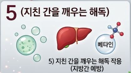 비트 효능