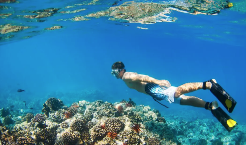 말레이시아 신혼여행