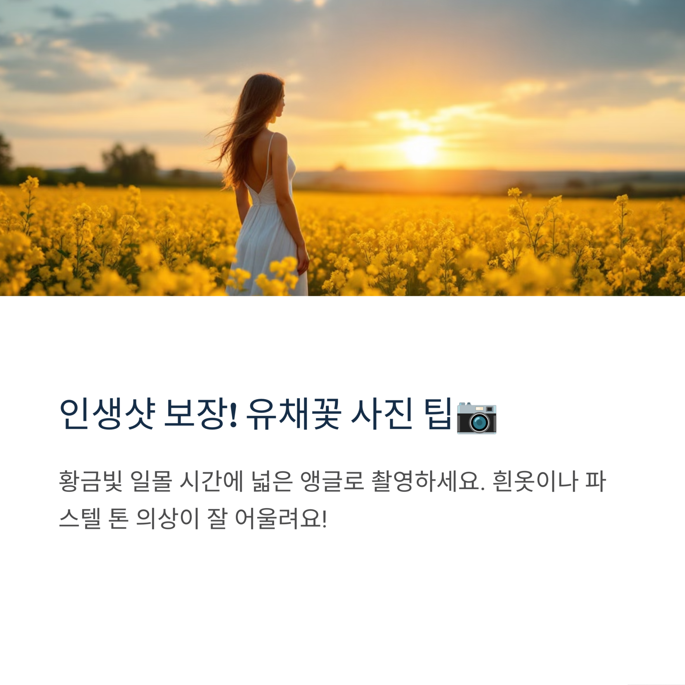 2025 유채꽃축제 추천 명소 BEST 5 & 개화시기 총정리