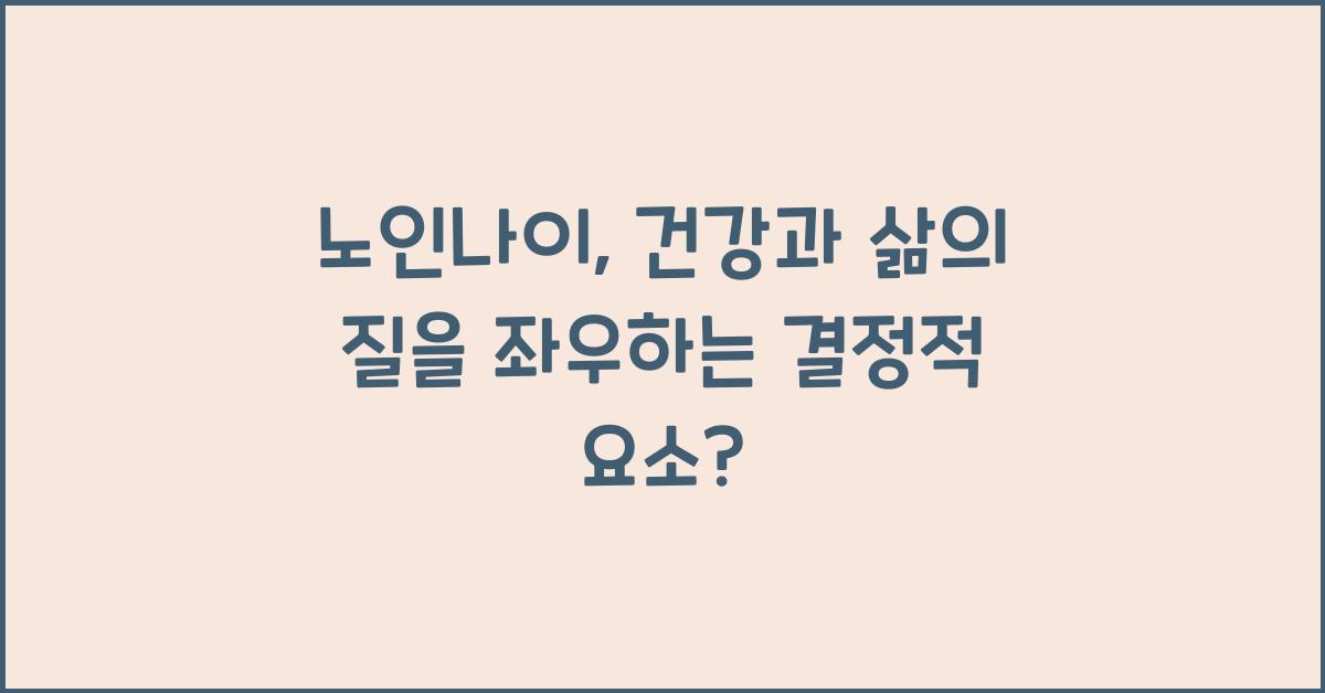 노인나이