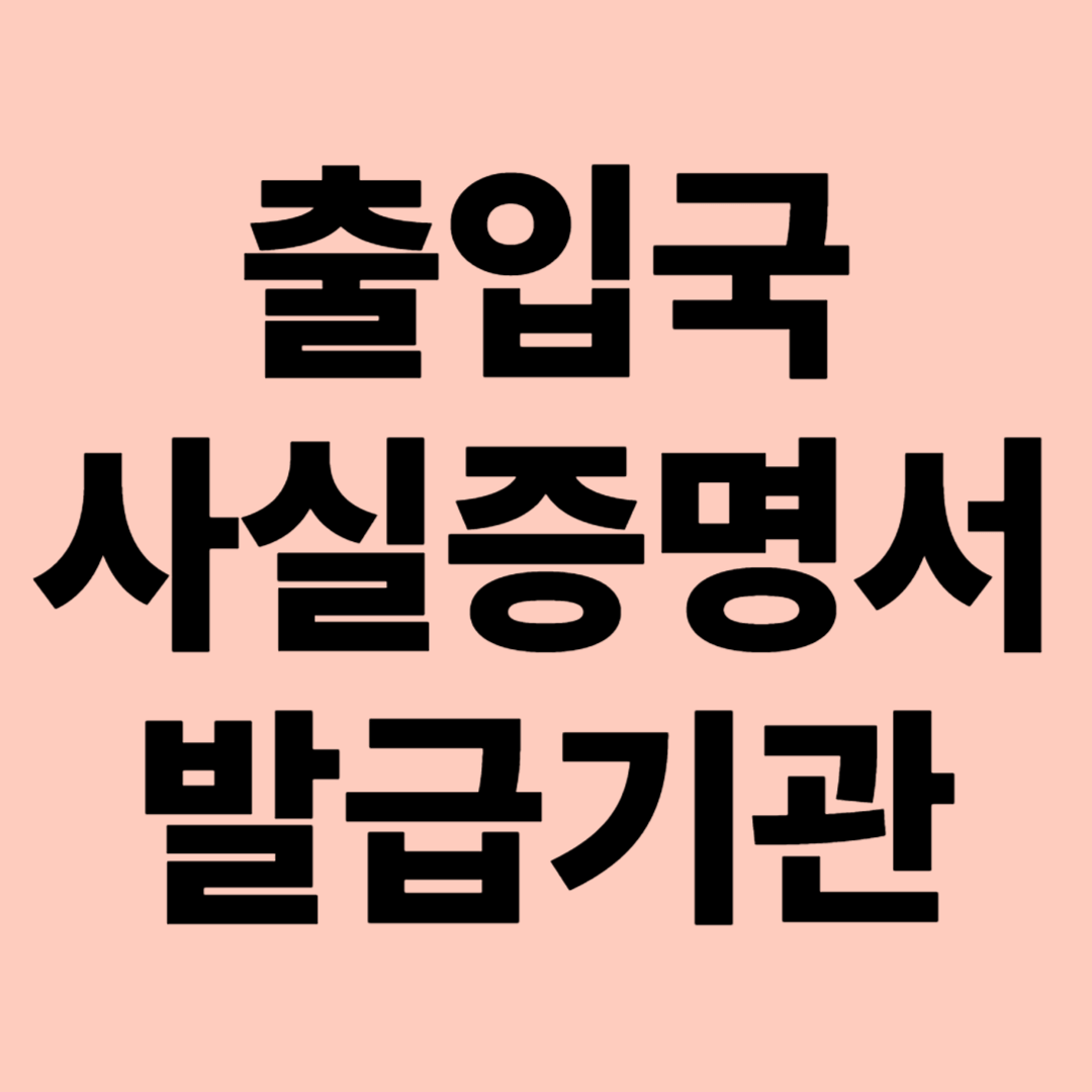 출입국 사실증명서 발급기관 관련 이미지