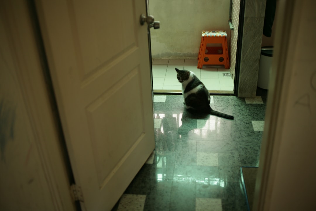 Landlord.