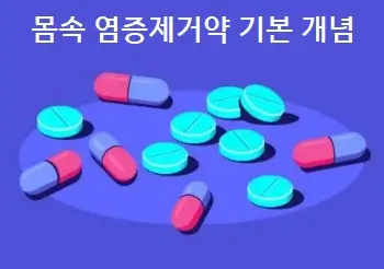 몸속 염증제거약 기본 개념