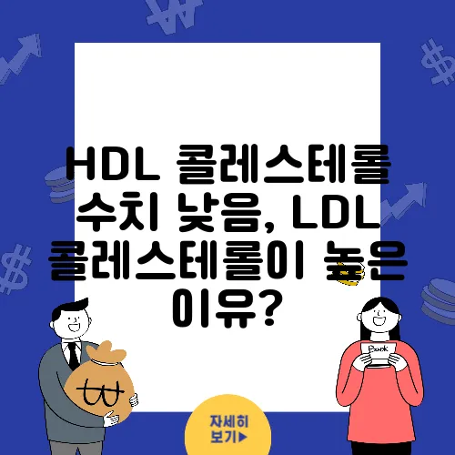 HDL 콜레스테롤 수치 낮음, LDL 콜레스테롤이 높은 이유?