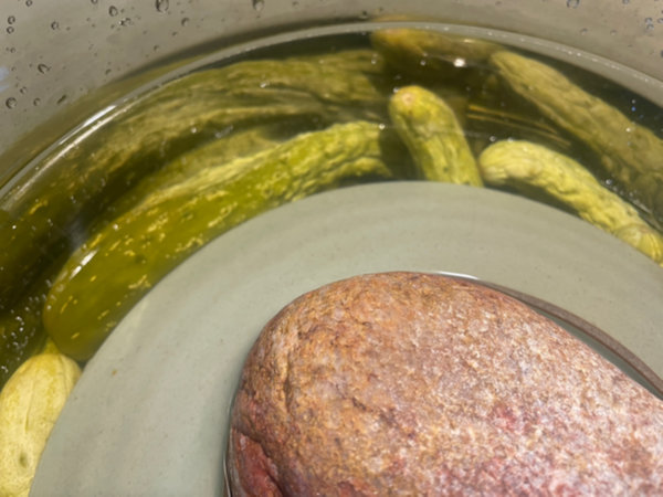 오이지 숙성기간 1일차