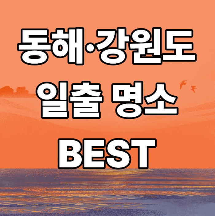 동해·강원도 일출 명소 BEST|겨울 해돋이 여행 총정리