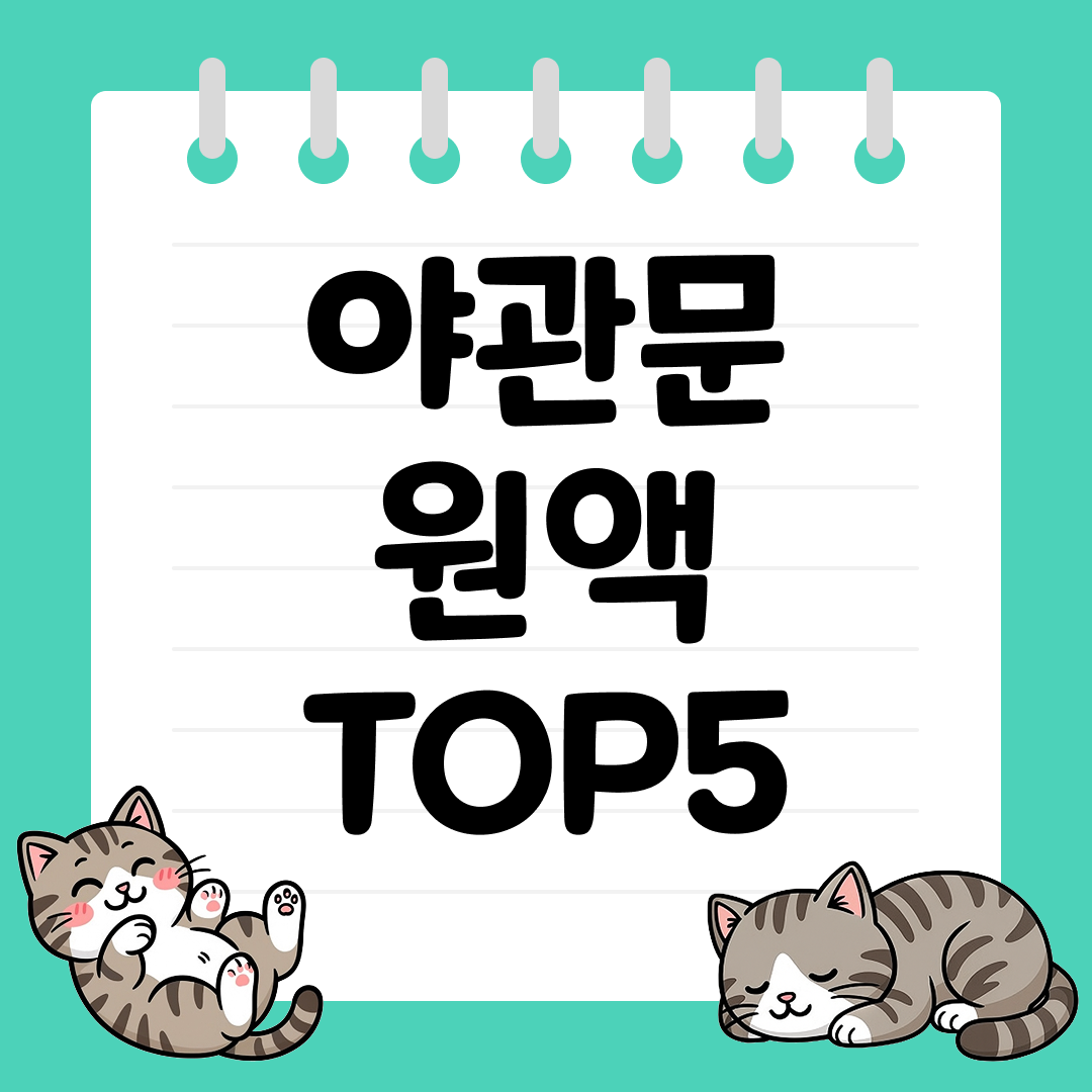 여성분들이 더 좋아하는 기력 보충에 도움 되는 야관문 원액 TOP5