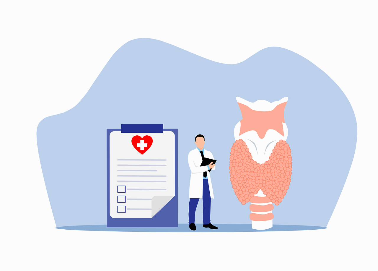 내분비 기관과 사람의 호르몬