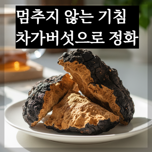 영하의 추위 속 하얀 눈이 쌓인 자작나무에 단단하게 붙어 있는 검은색 차가버섯 원물과 그 옆에 김이 모락모락 피어오르는 진한 갈색의 따뜻한 차가버섯 차가 놓여 있는 고화질 실사 이미지